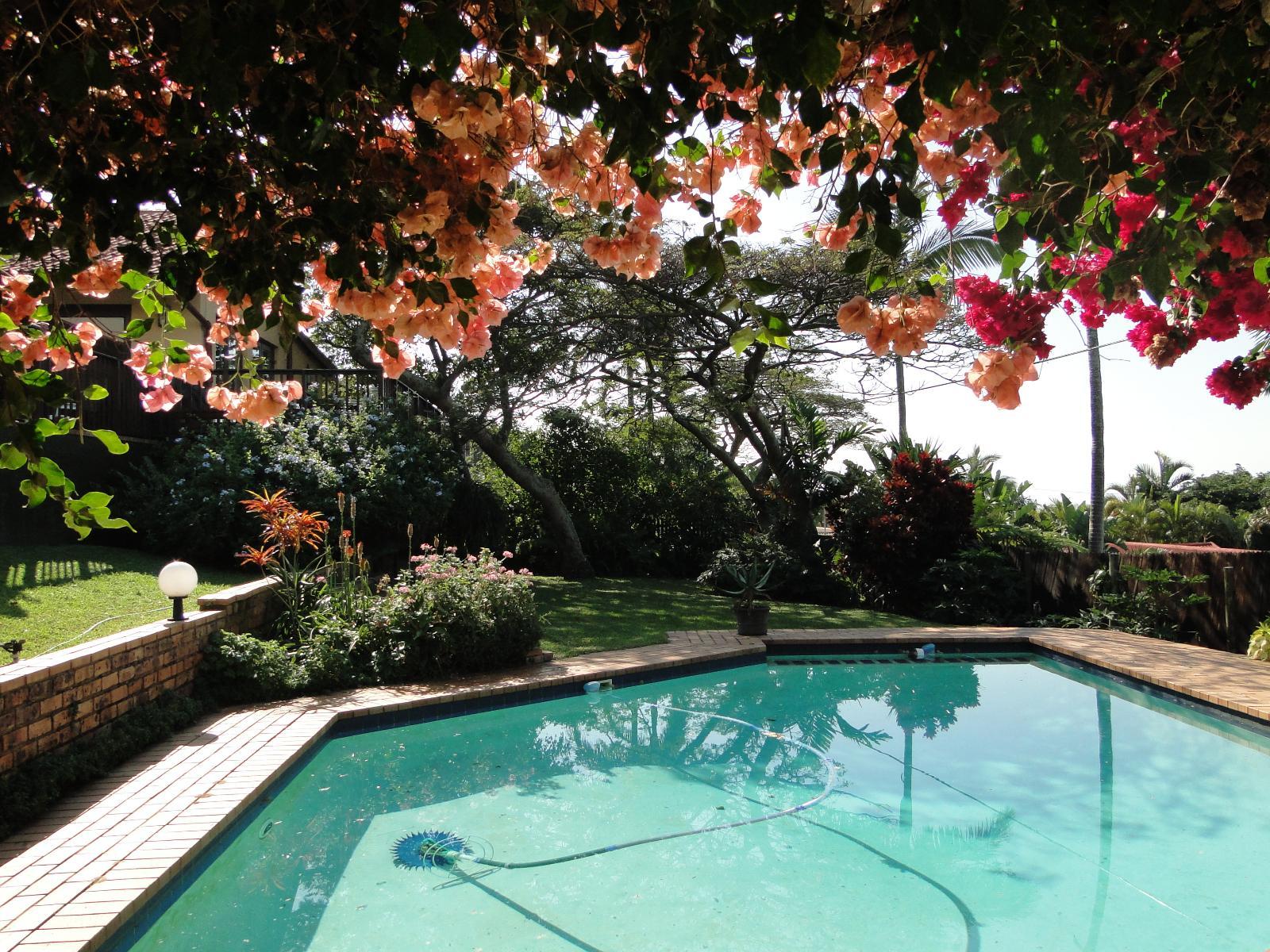 Umbrella Tree House in Umhlanga BEST Getaways South Africa's best