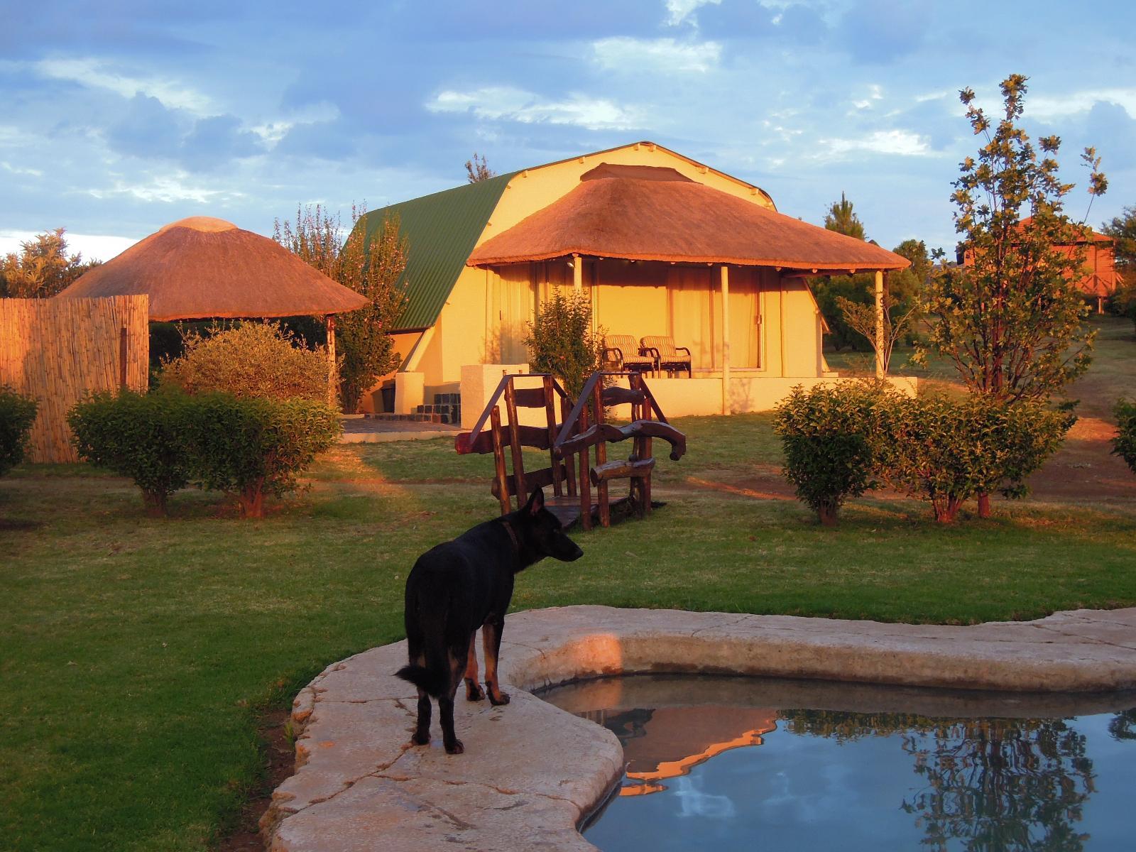 Roomtype 37: Pool view Nullarbor Cottages