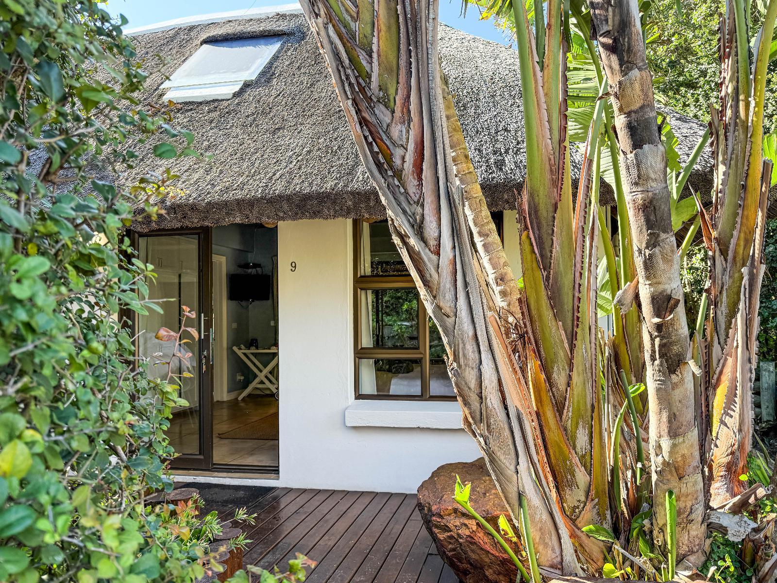 BonBini Guest House