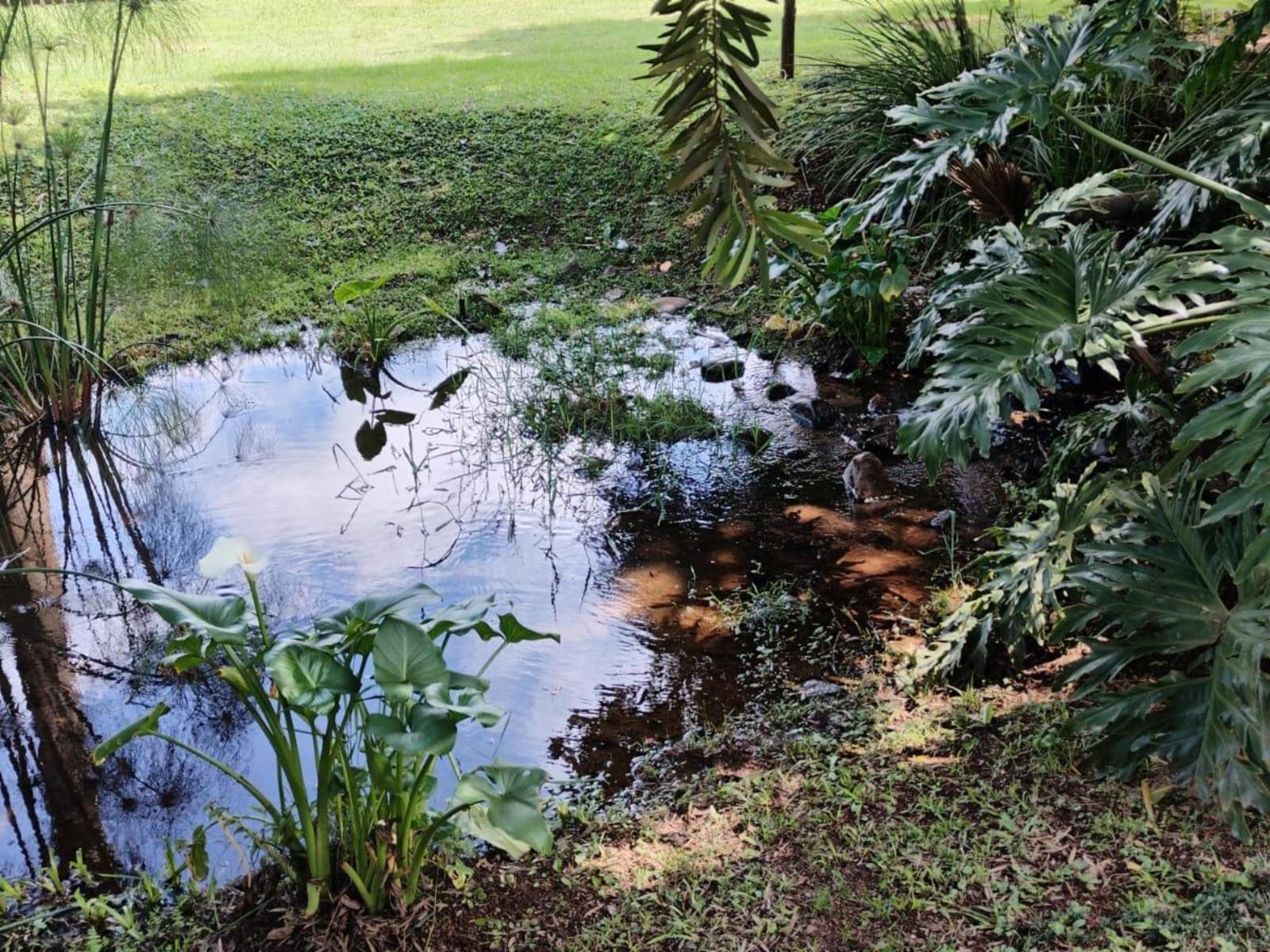 Sabie River Camp