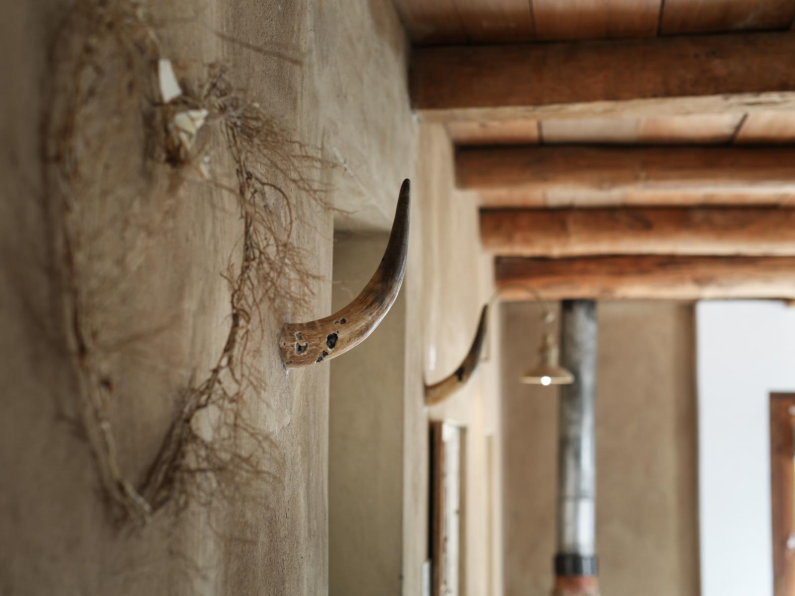 Roomtype 1: Decorative detail Dennehof Karoo Guest House