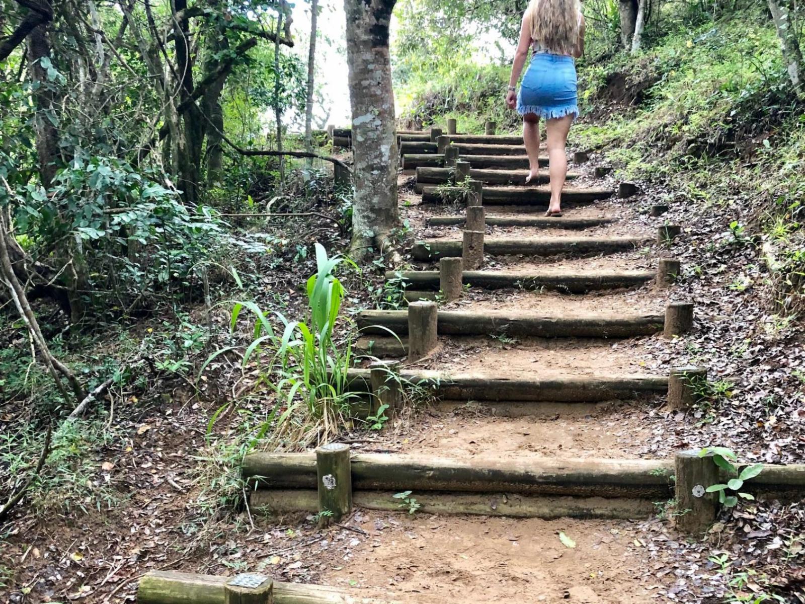 Ingwenya Lodge