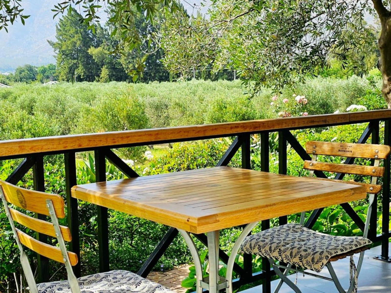 Montagu Vines Guesthouse