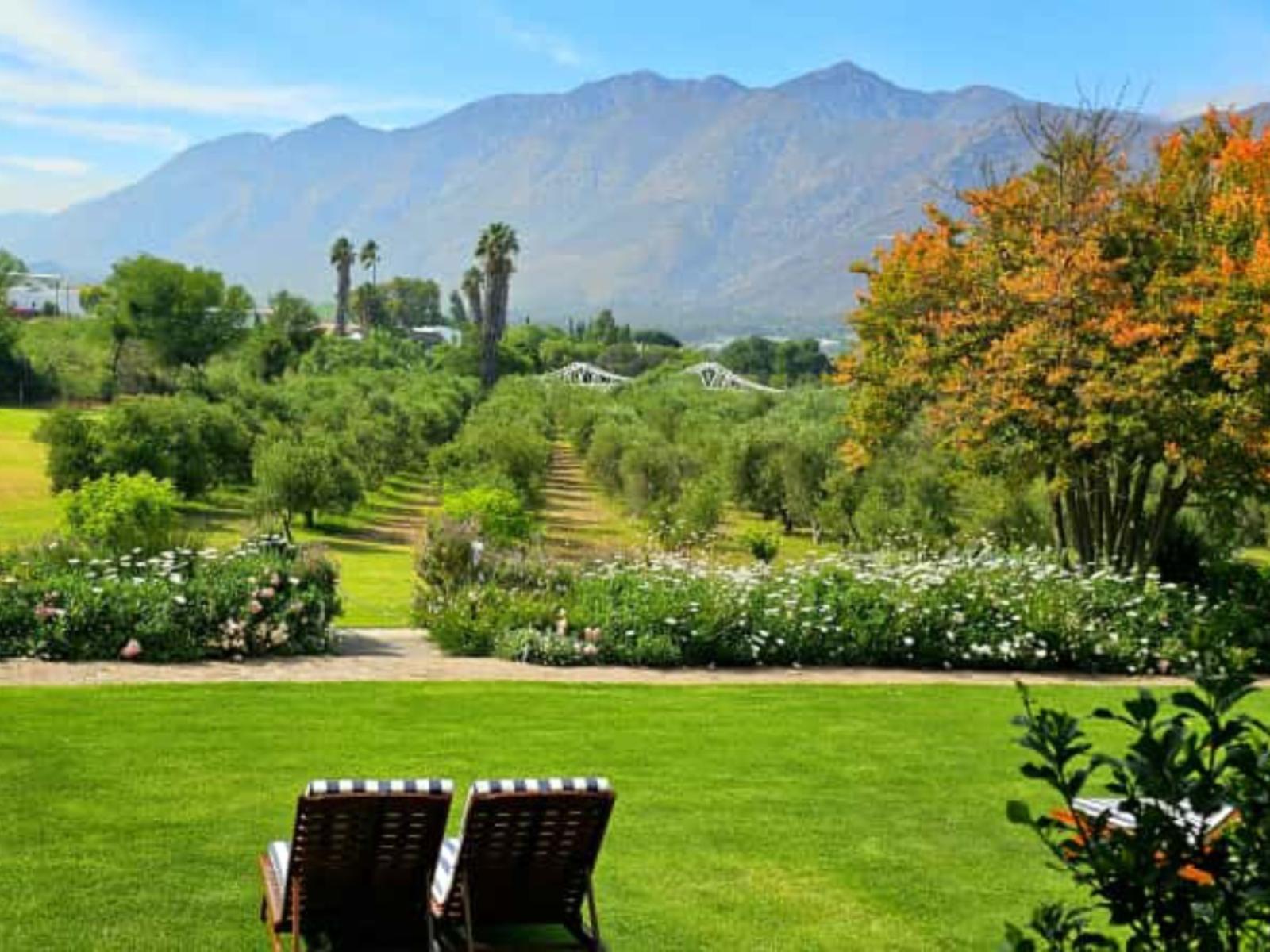Montagu Vines Guesthouse