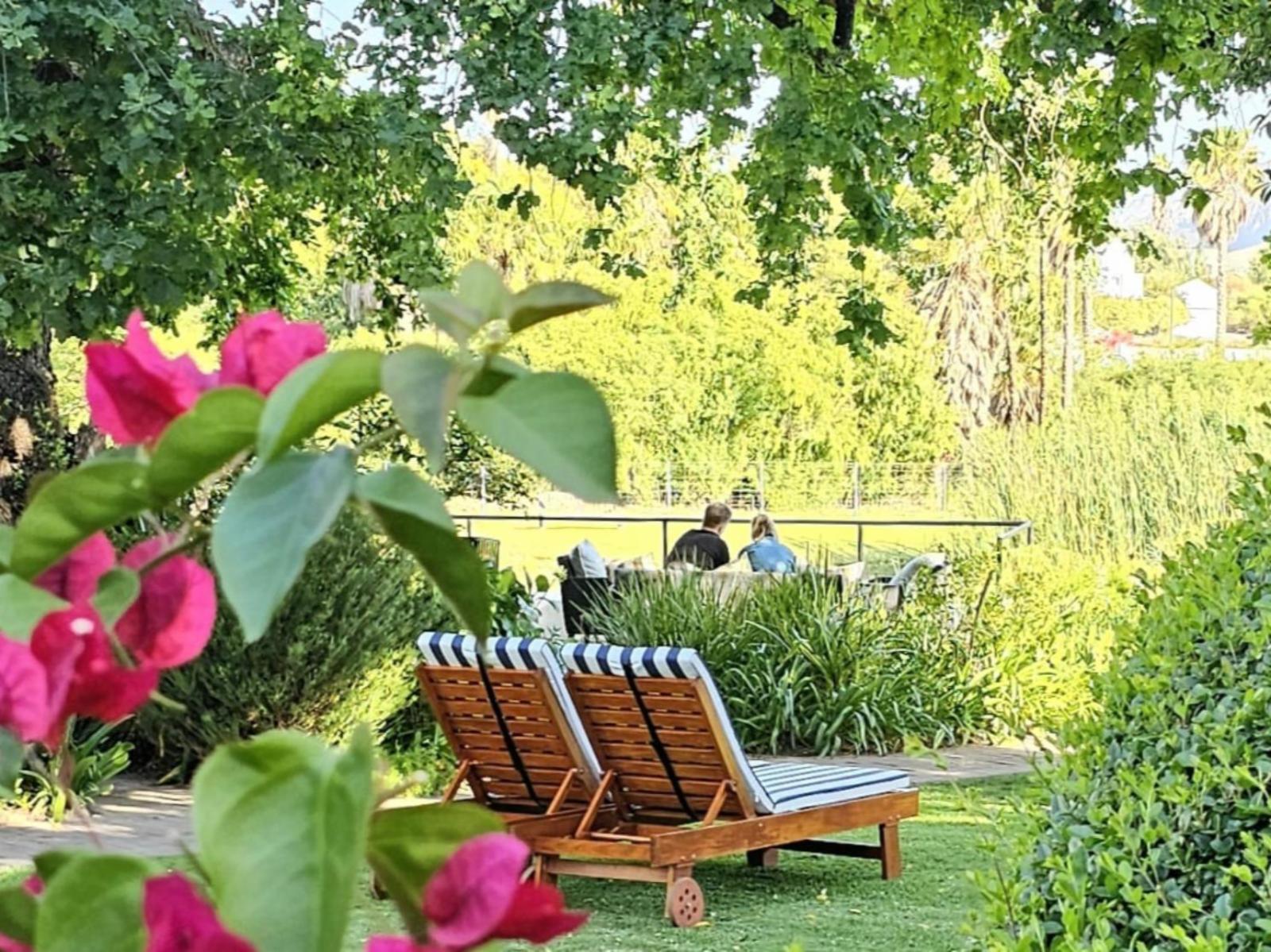Montagu Vines Guesthouse