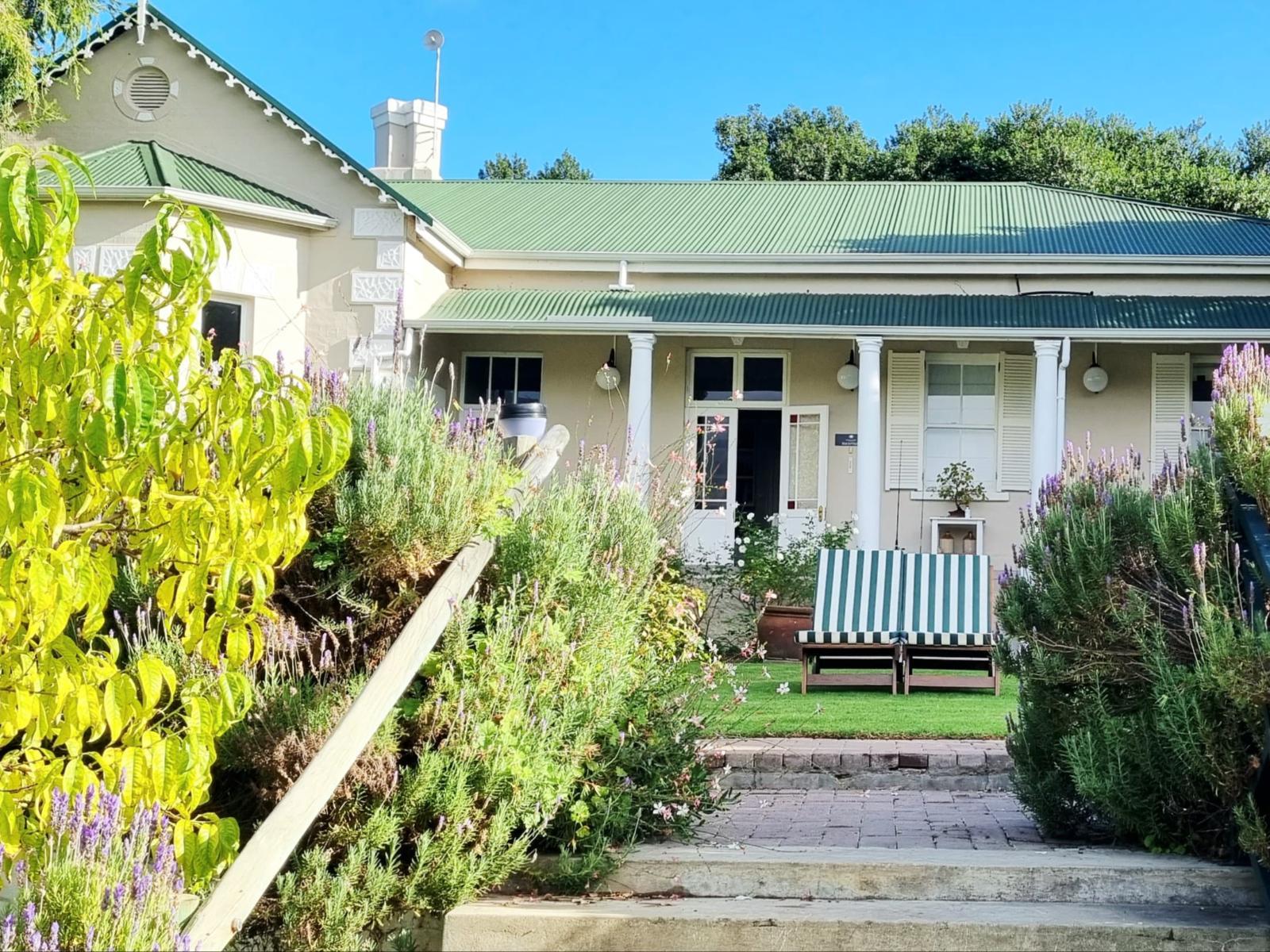 Montagu Vines Guesthouse