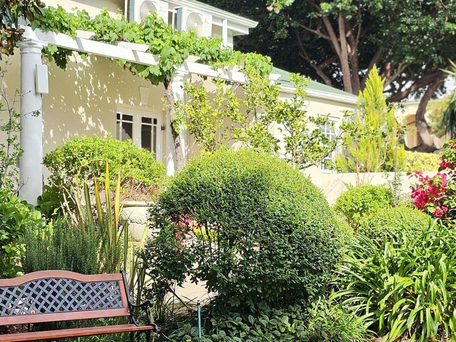 Montagu Vines Guesthouse