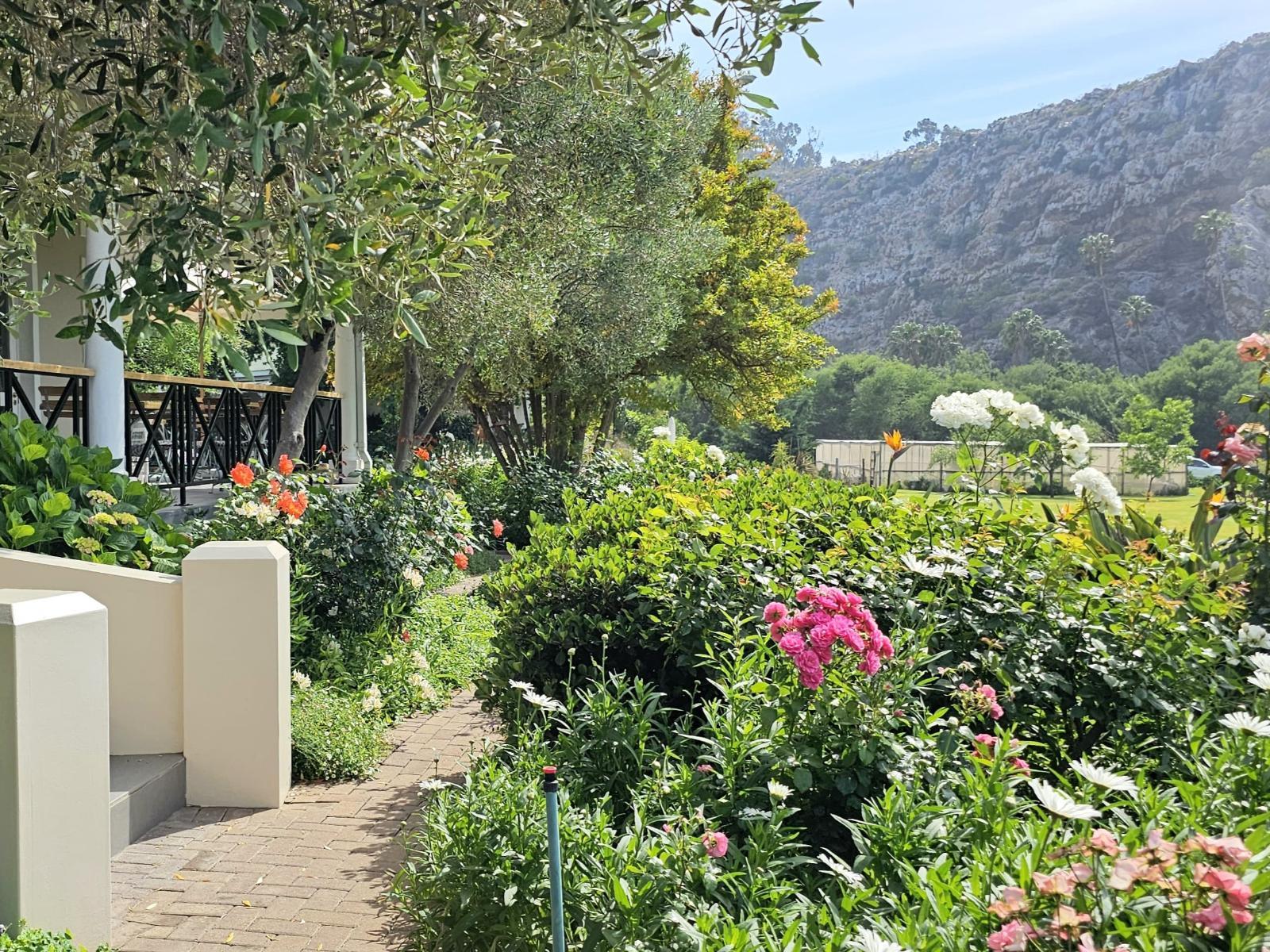 Montagu Vines Guesthouse