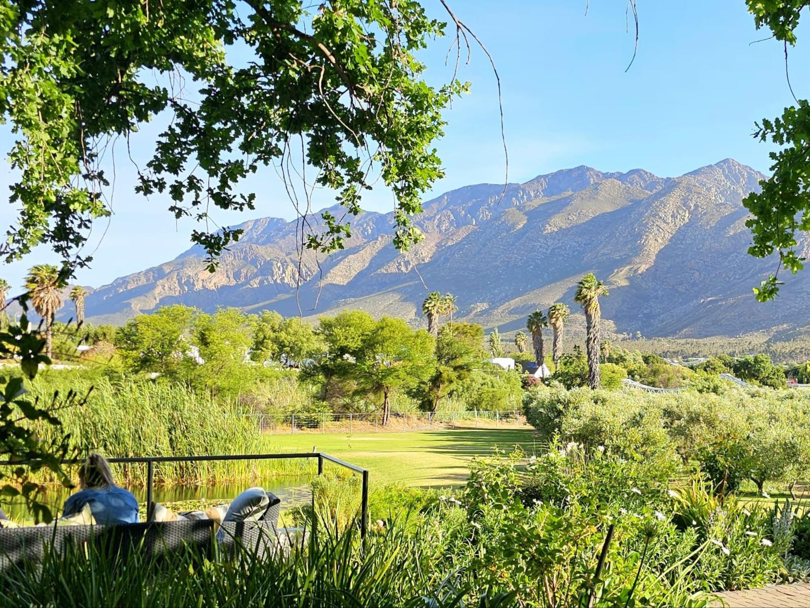 Montagu Vines Guesthouse