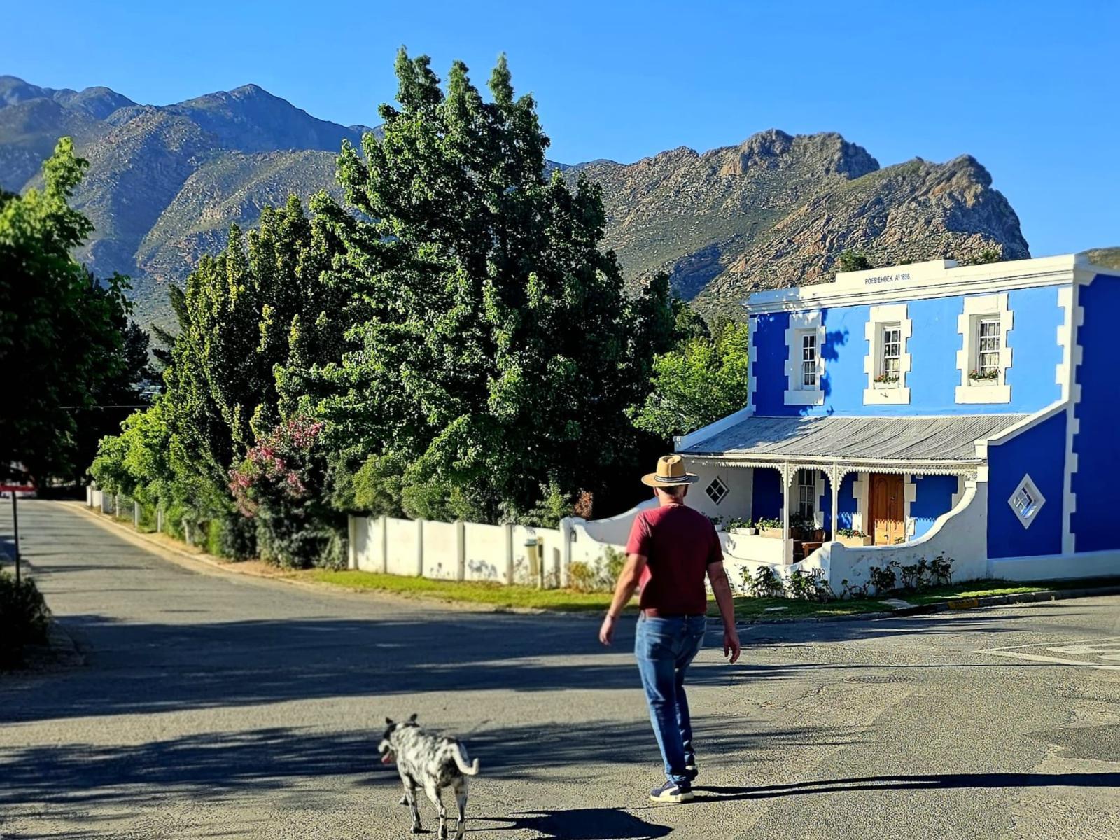 Montagu Vines Guesthouse