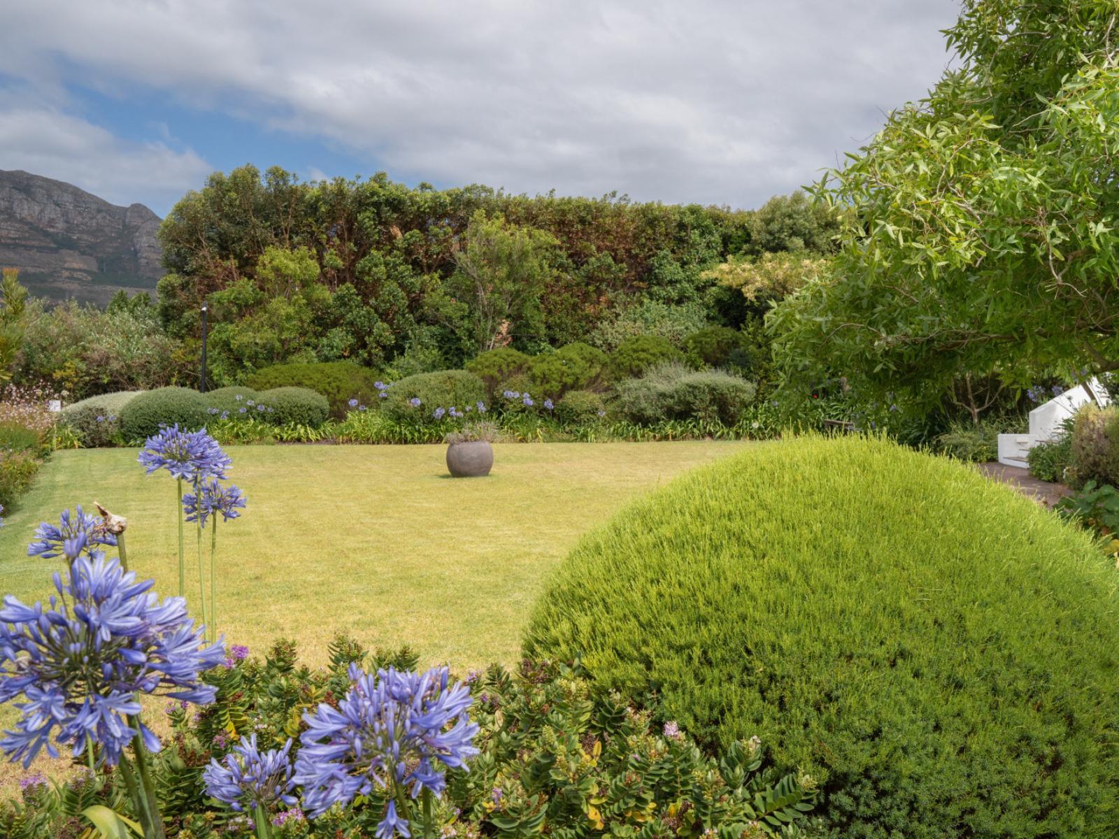 Roomtype 13: View (from property/room) The Dongola Guesthouse