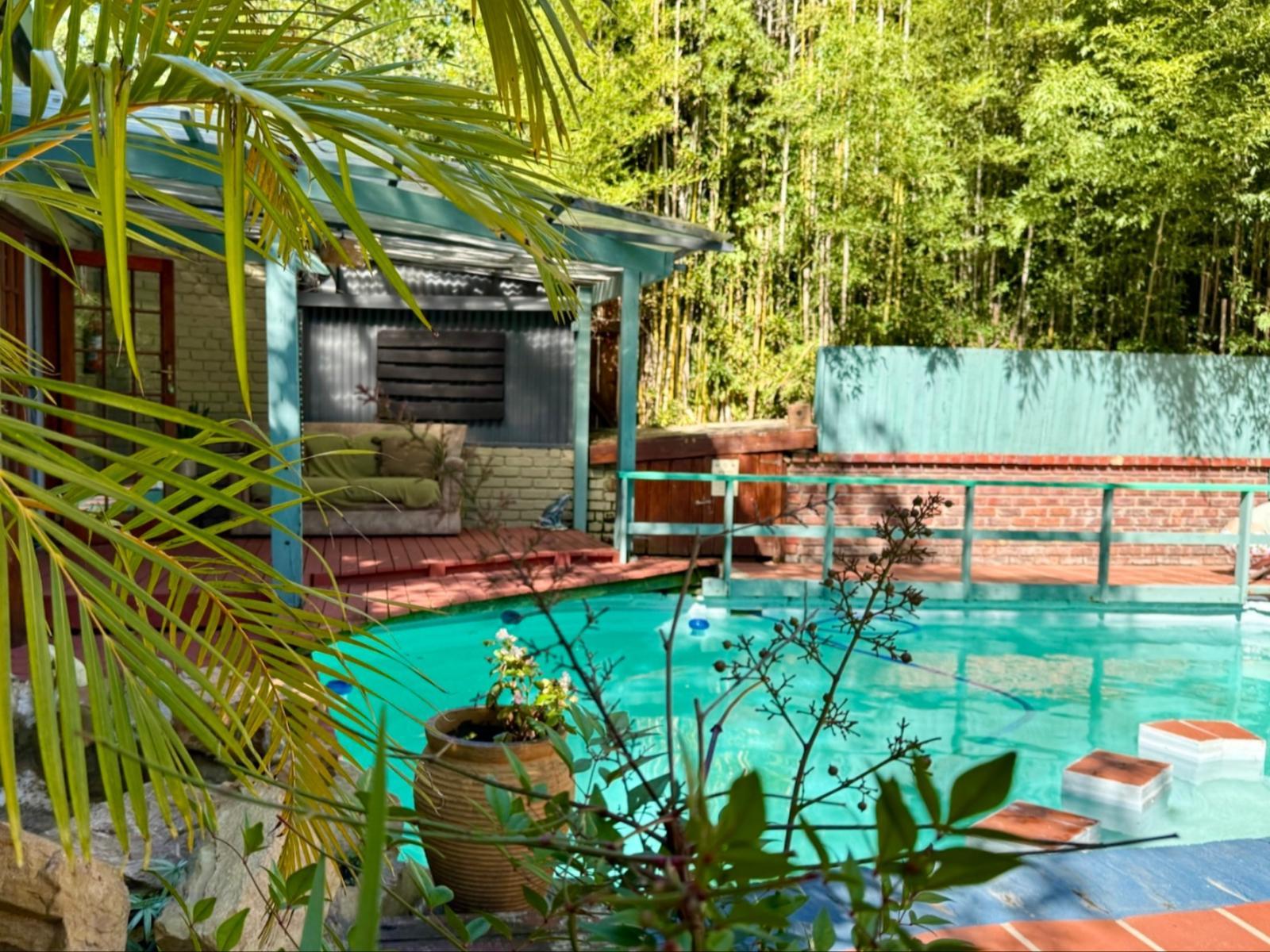 The Bamboo Lodge in Knysna