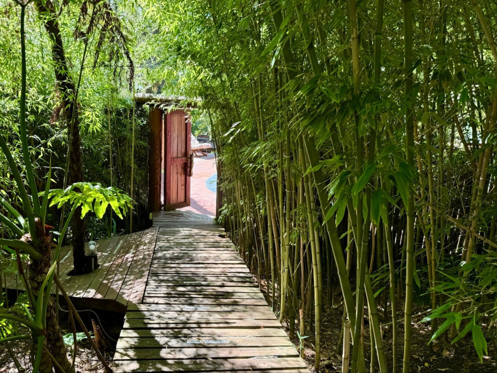 The Bamboo Lodge in Knysna