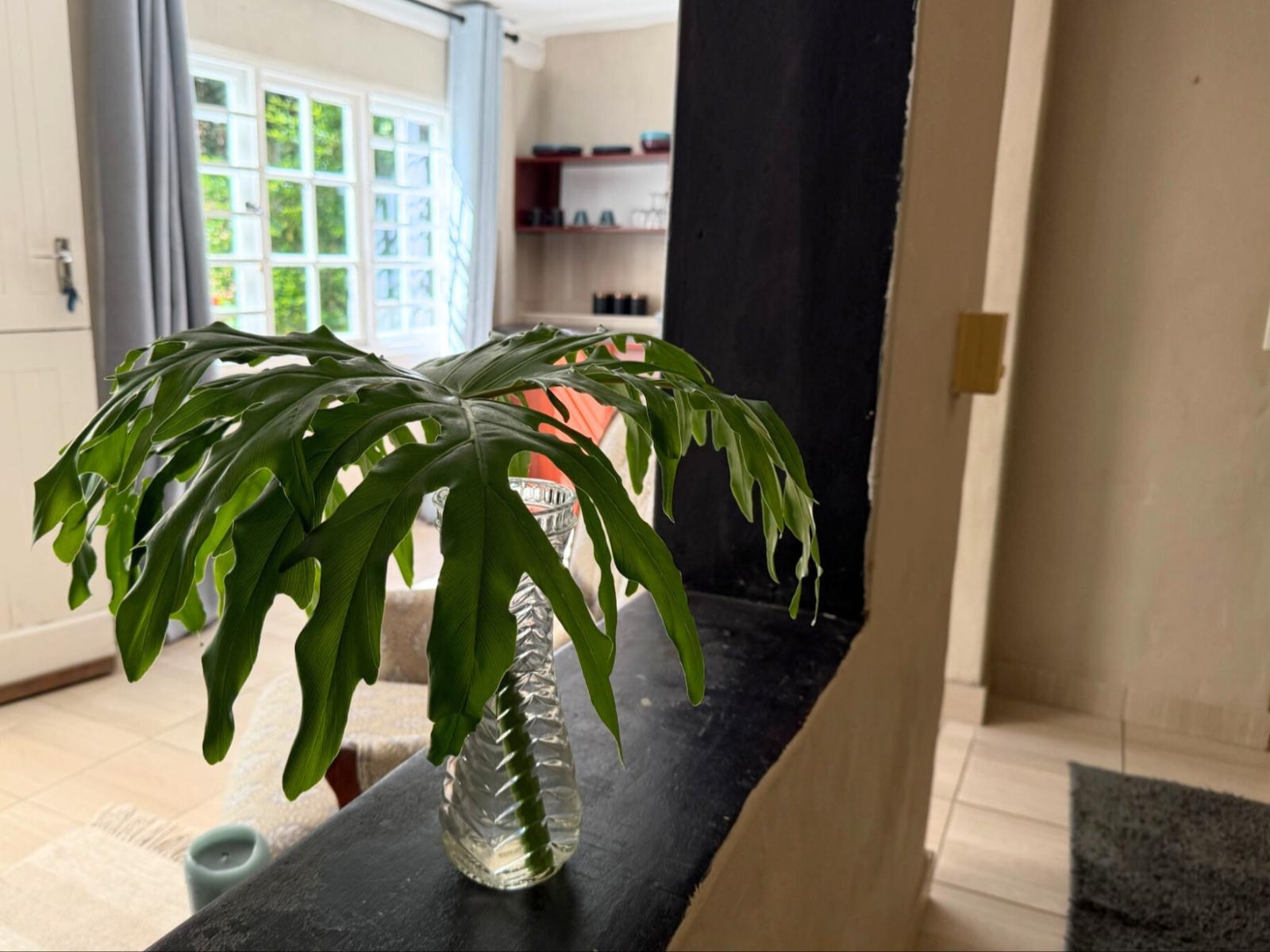 The Bamboo Lodge in Knysna
