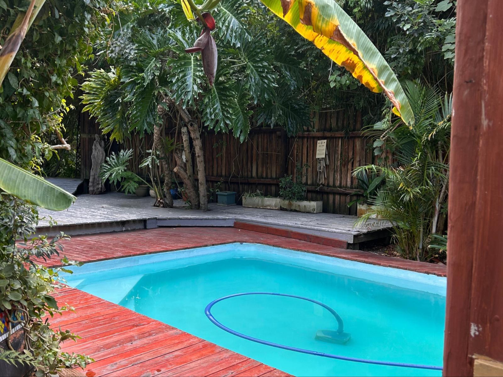 The Bamboo Lodge in Knysna