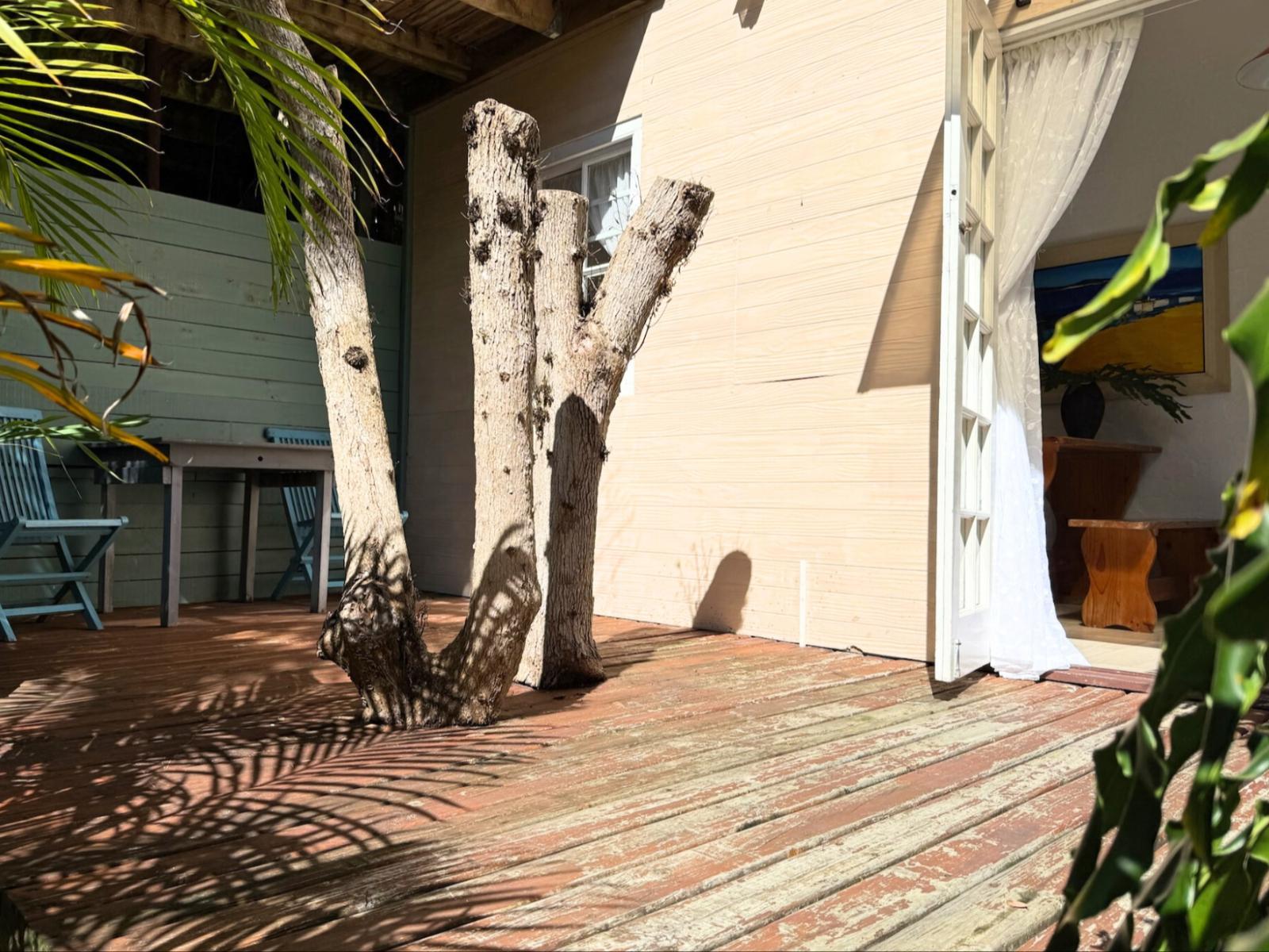 The Bamboo Lodge in Knysna