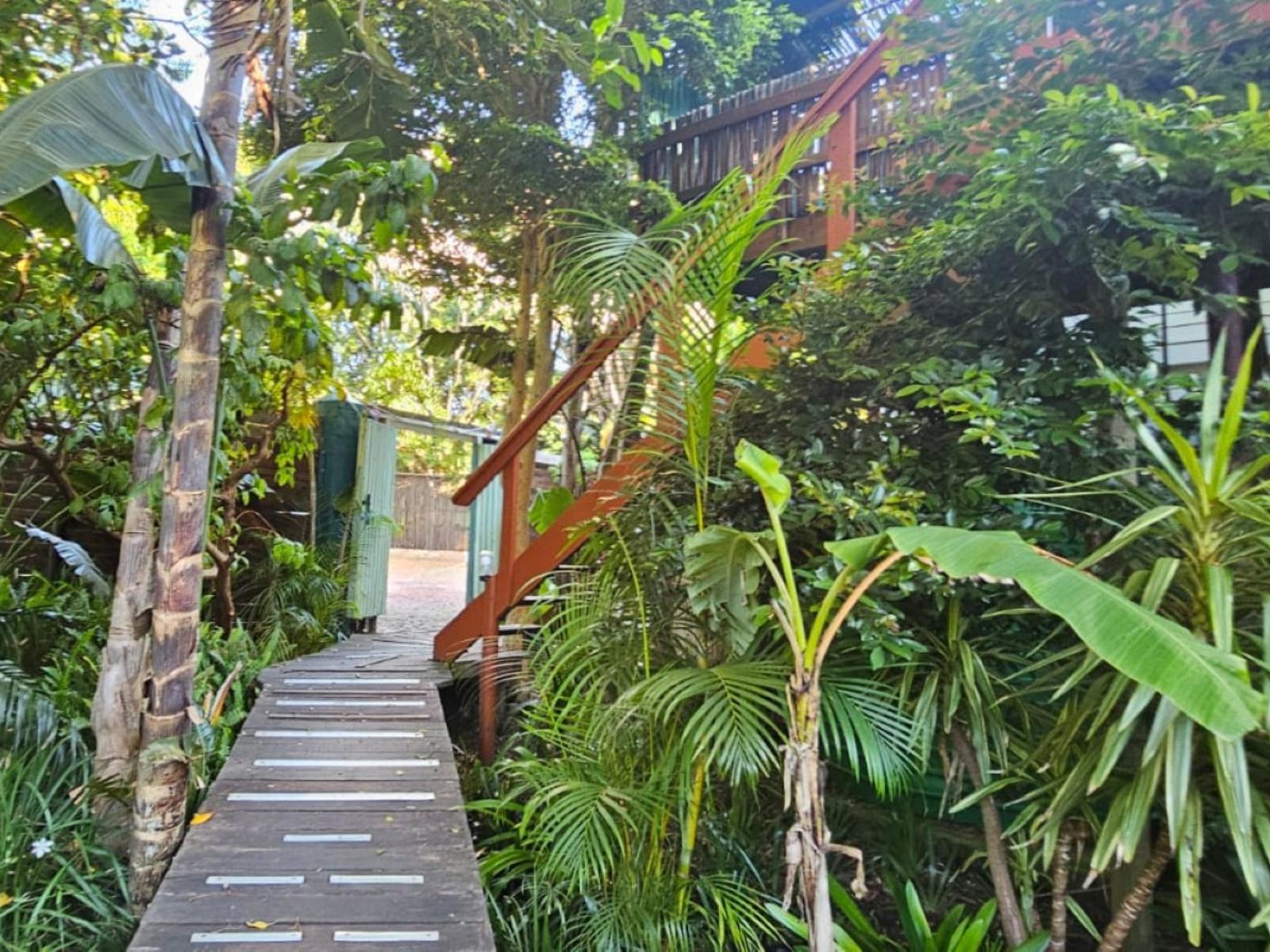 The Bamboo Lodge in Knysna