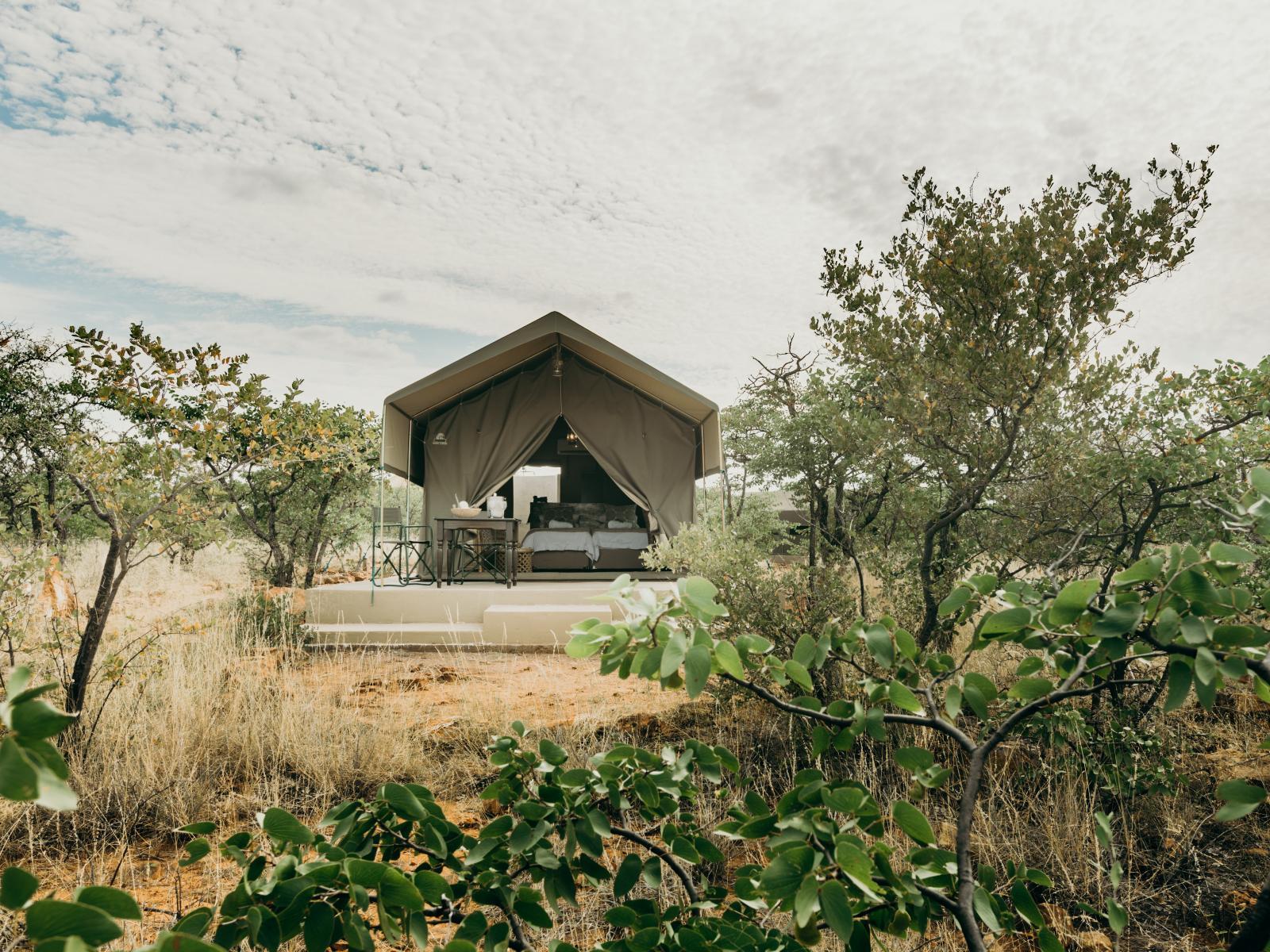 Mopane Bush Lodge