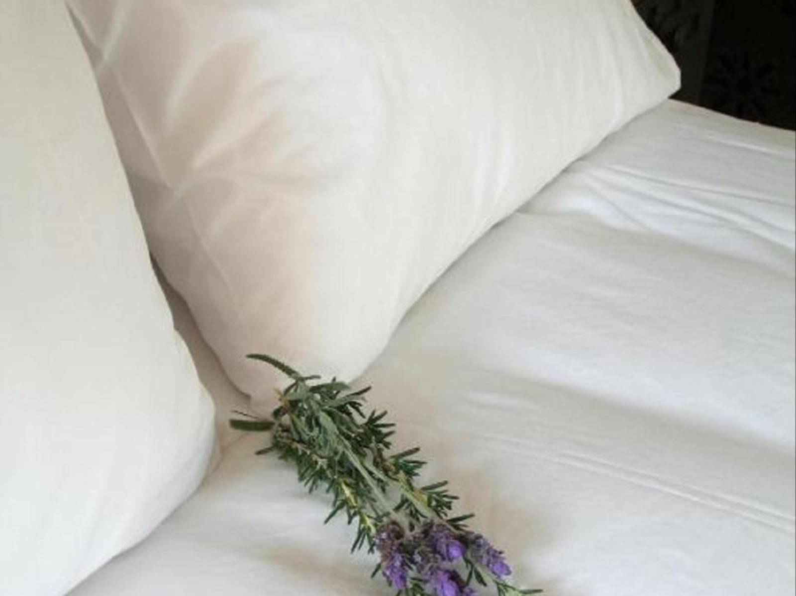 The Wardrobe Guest House