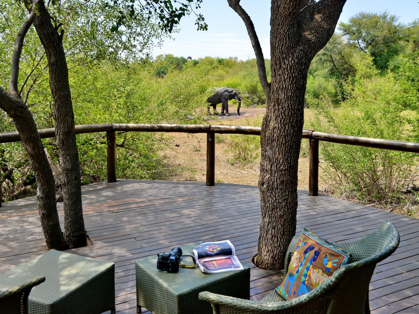 Motswiri Private Safari Lodge