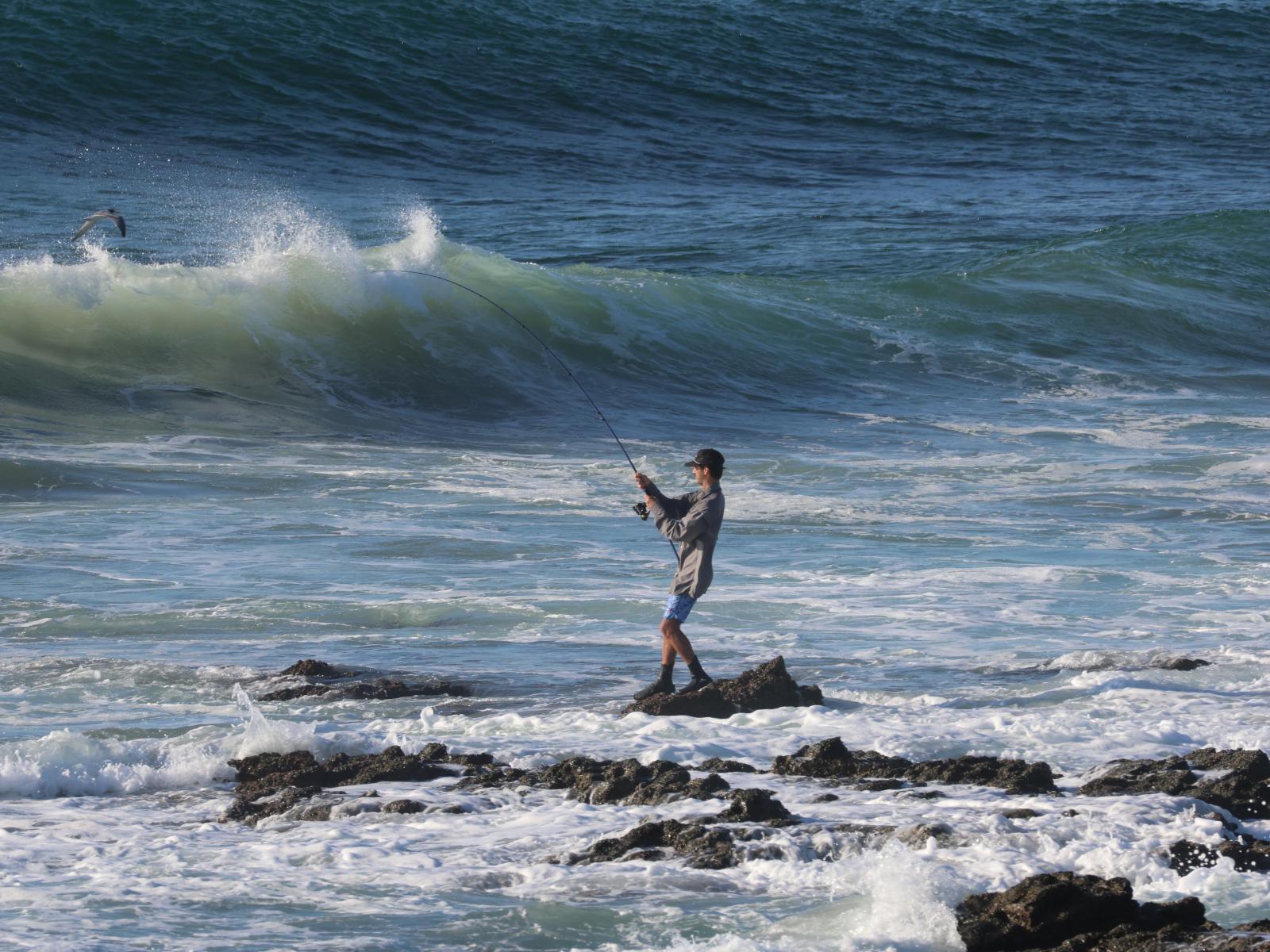 Swell Eco Lodge