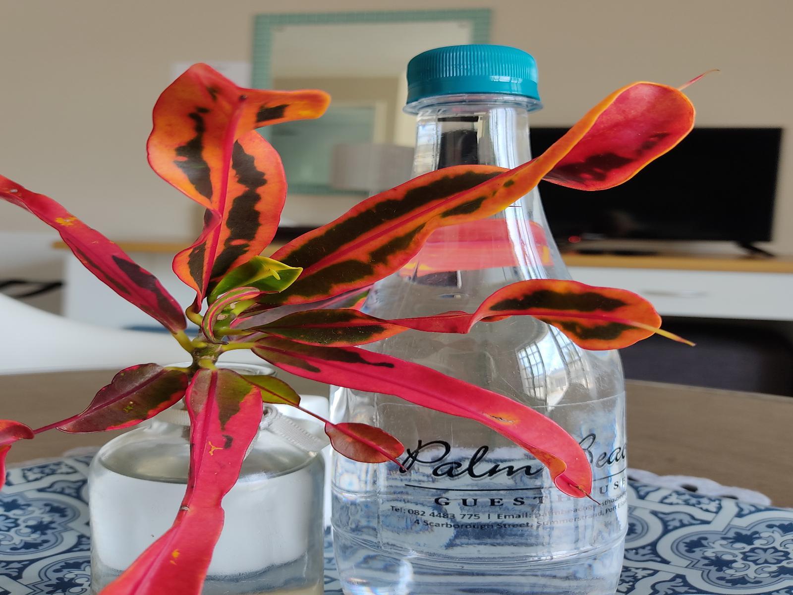 Palm Beach Guesthouse