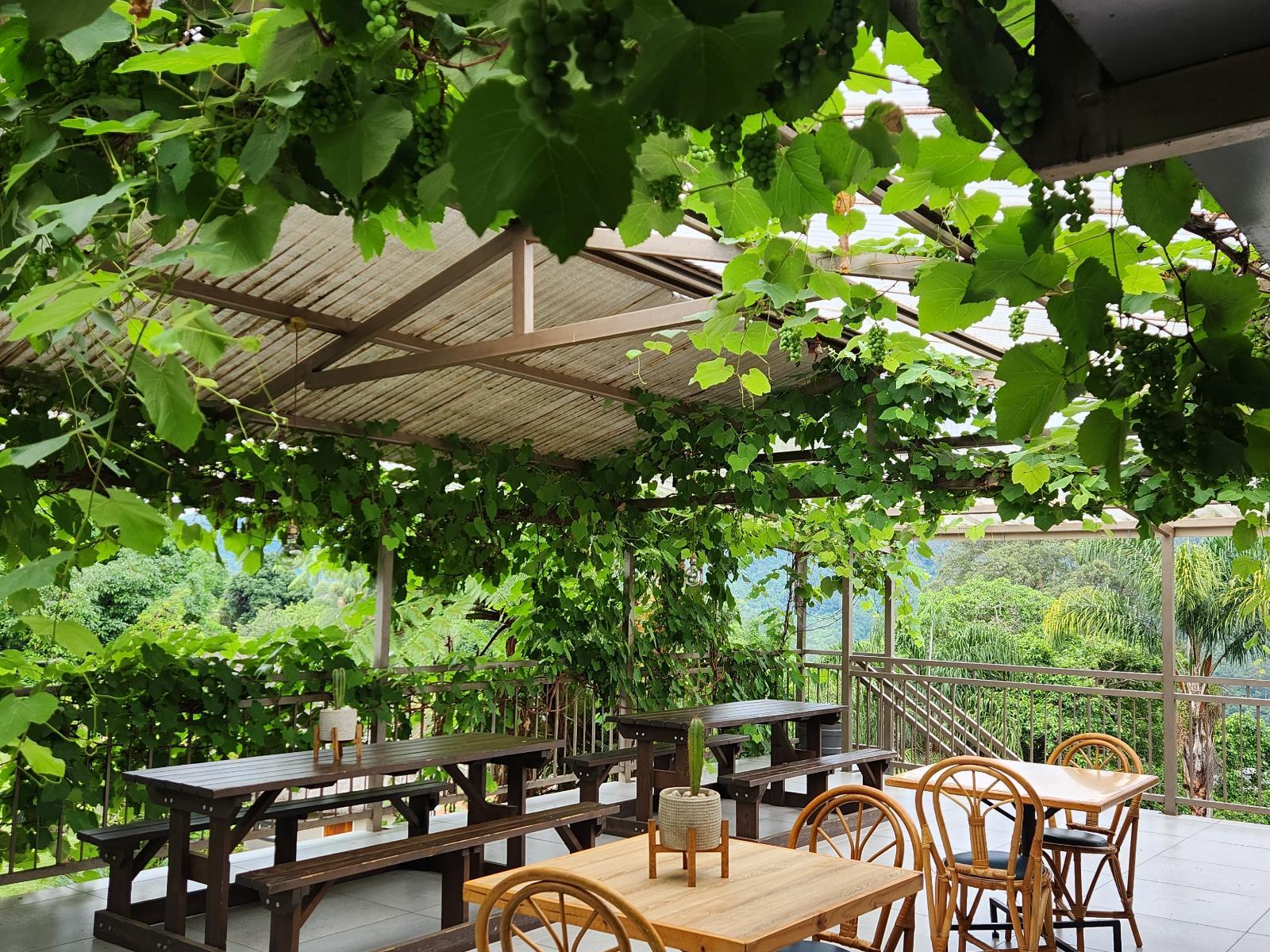 Magoebaskloof Mountain Lodge