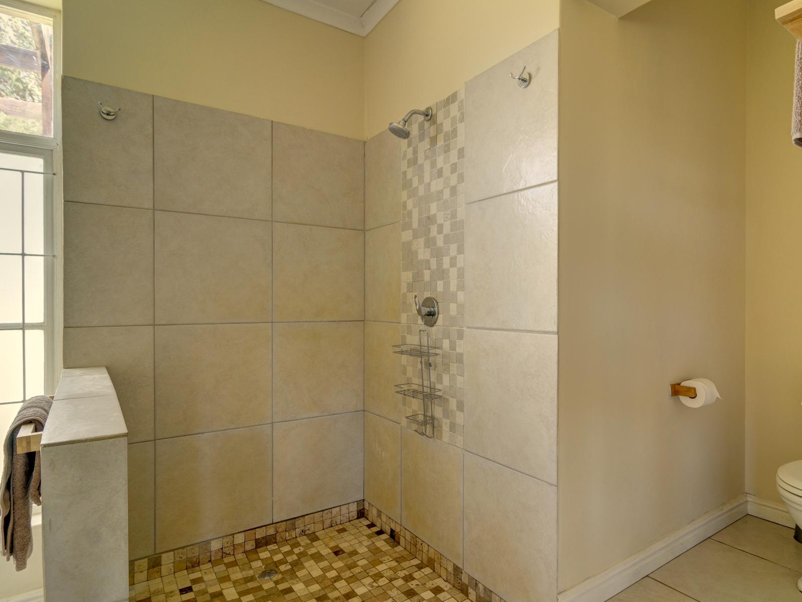 Roomtype 9: Shower Blue Gum Country Estate