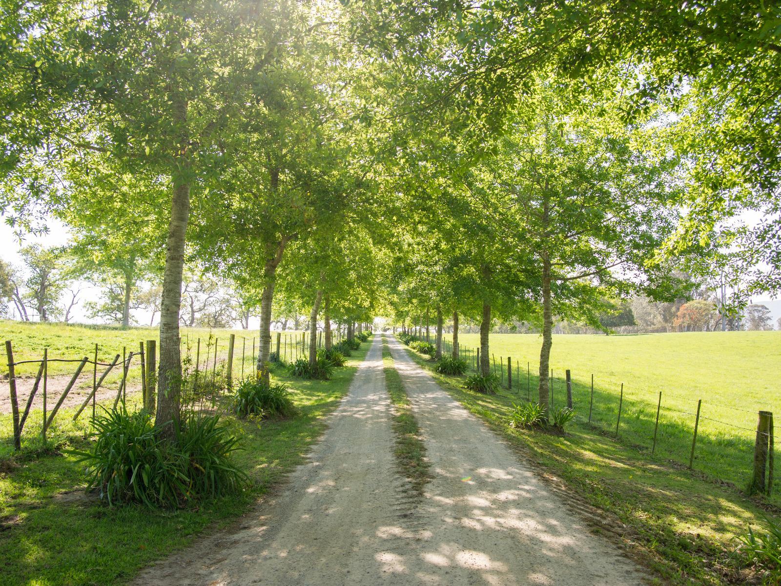 Oakhurst Farm Cottages