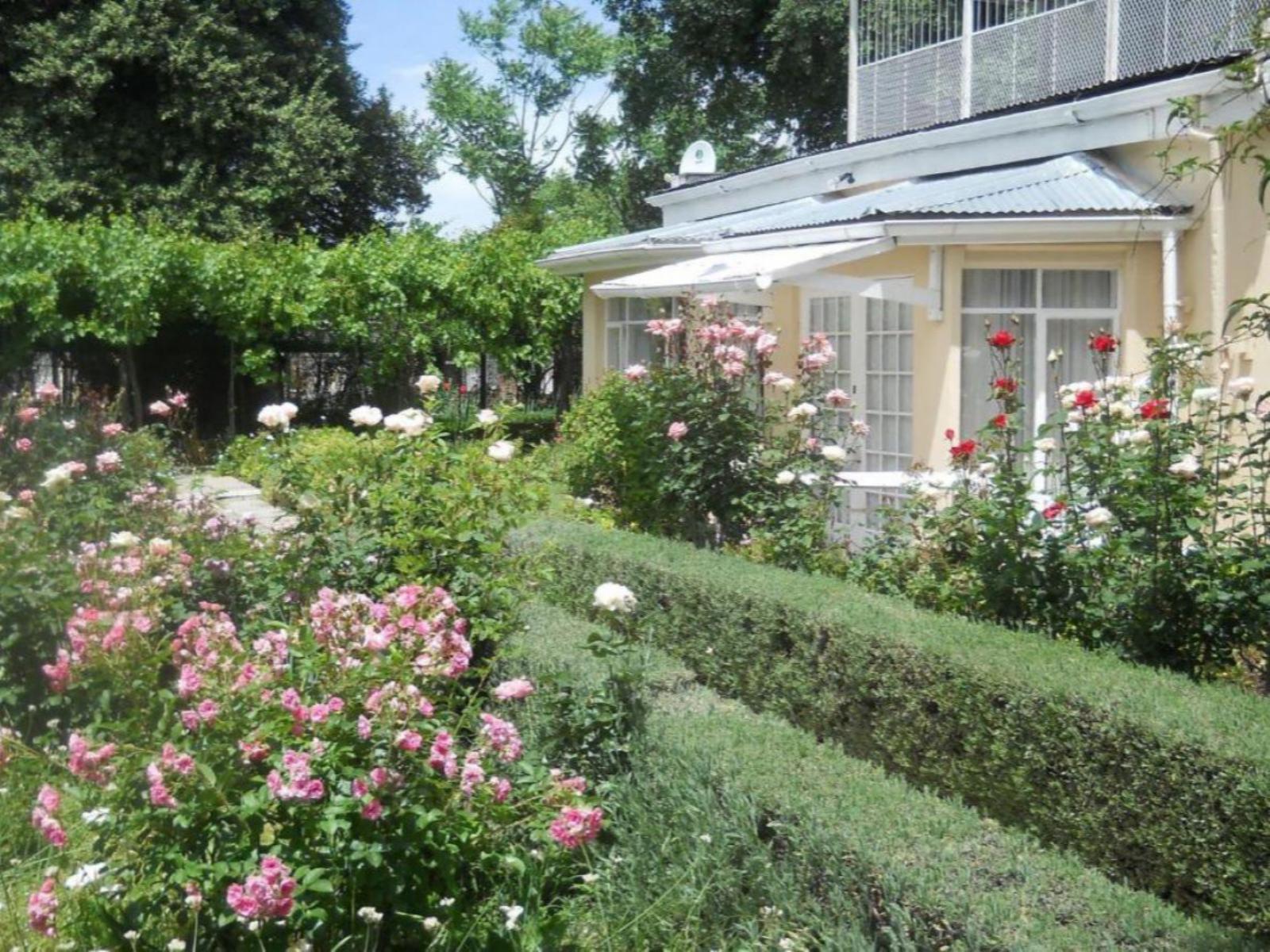 Albert House Guesthouse Cradock Accommodation