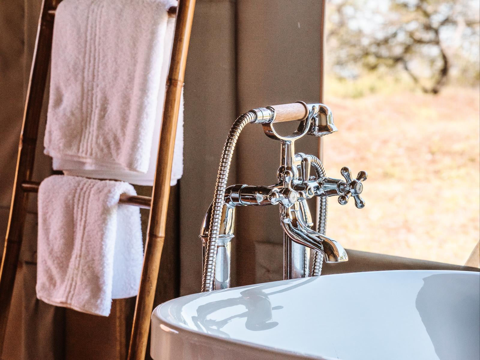 JBay Zebra Lodge