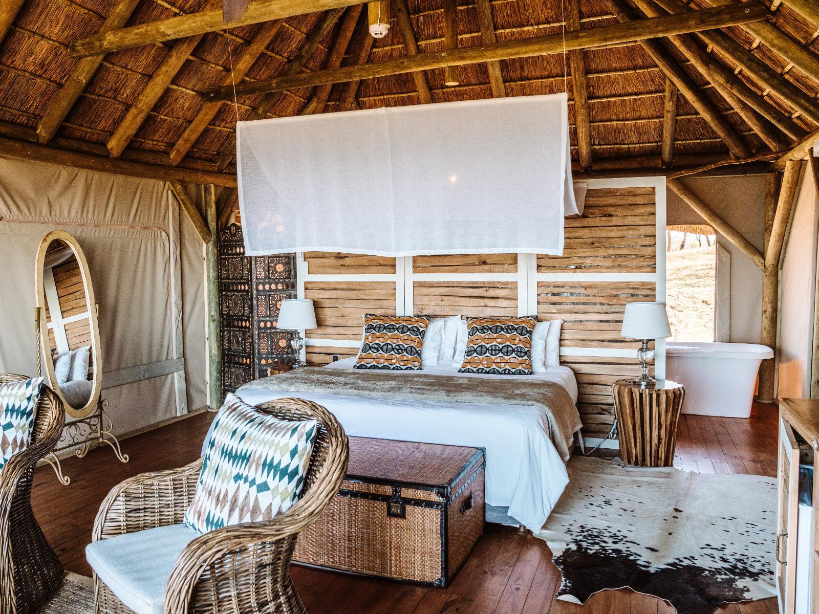 JBay Zebra Lodge