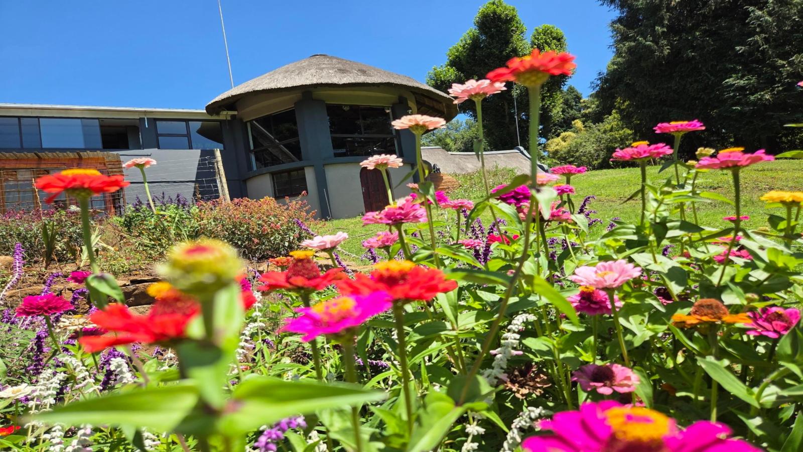 Thatchings Bed & Breakfast