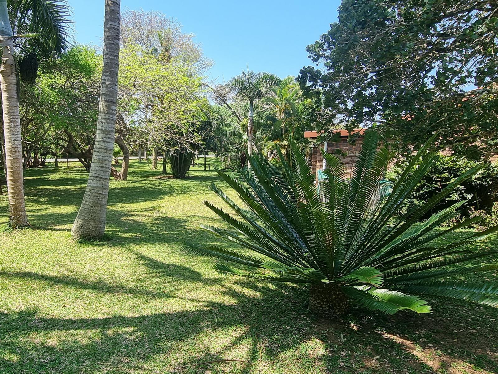 Ndiza Lodge & Cabanas