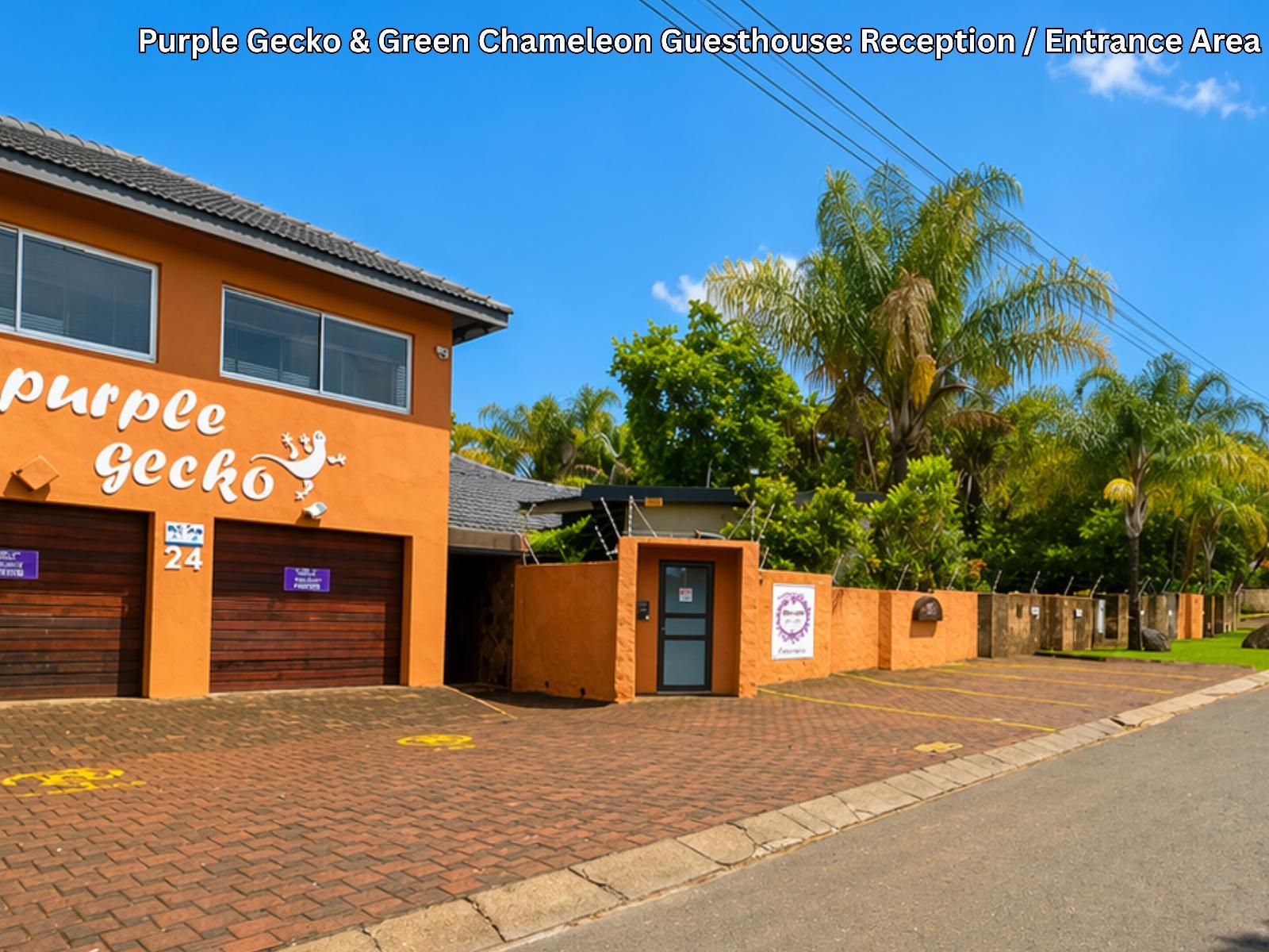 Purple Gecko Guest House