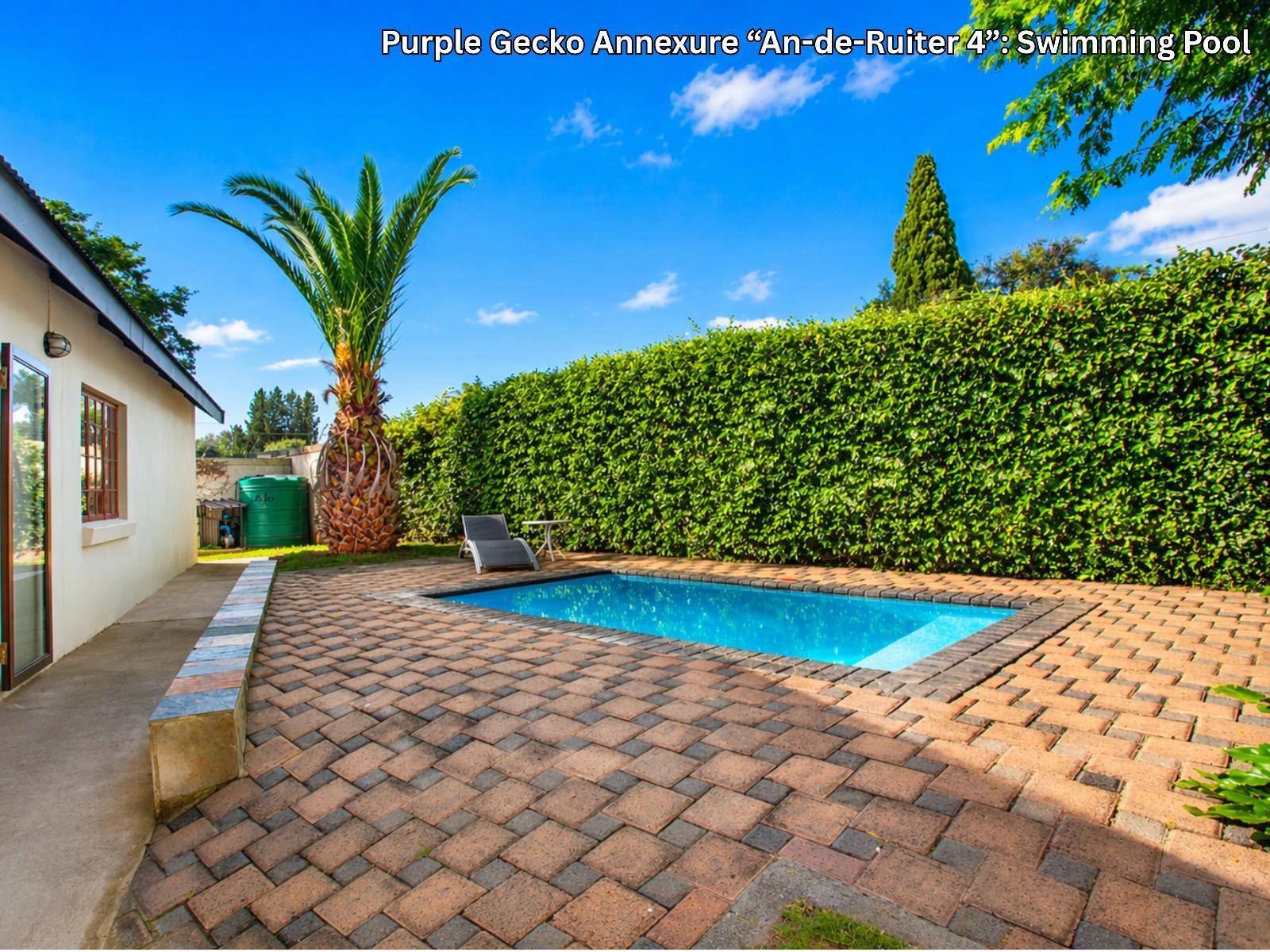 Purple Gecko Guest House