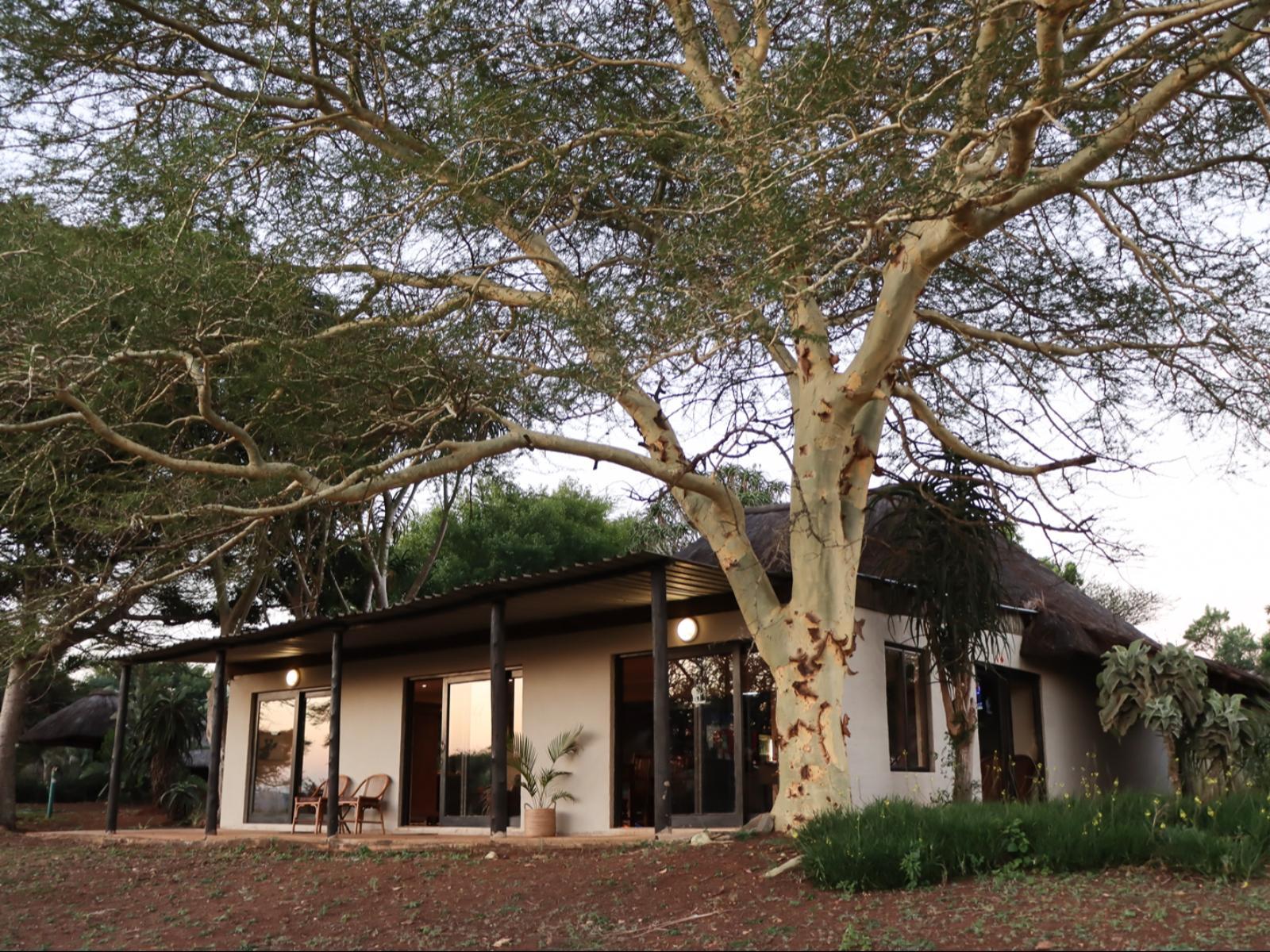 Ubizane Zululand Safari Lodge