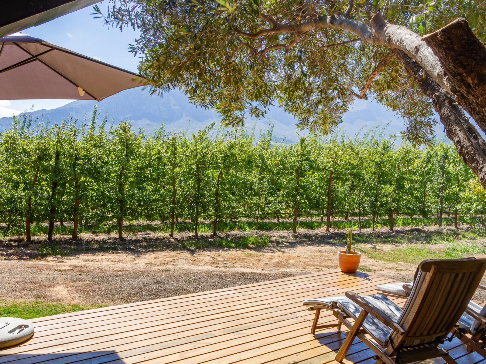 Bergsicht Country Cottages