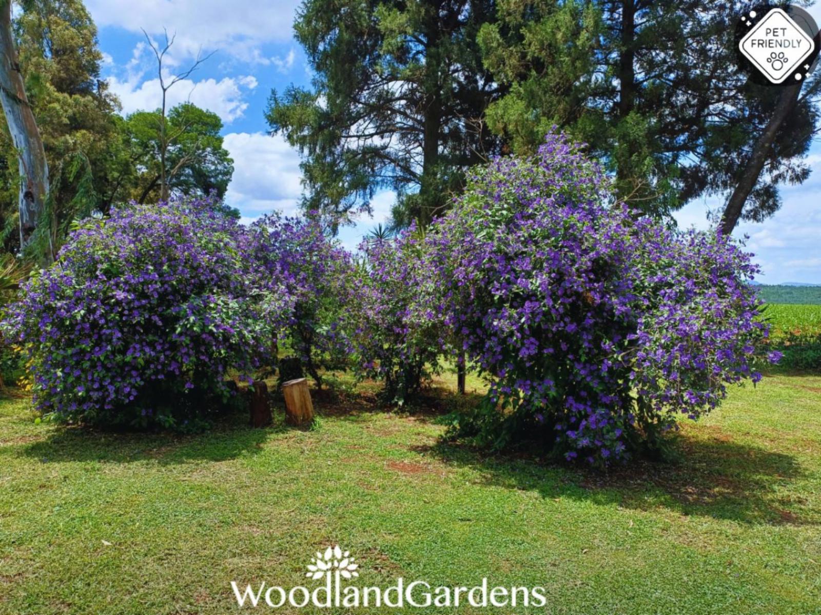 Woodland Gardens