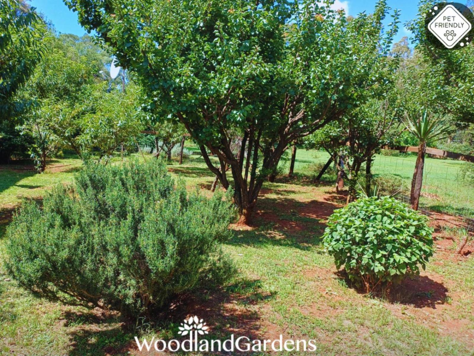 Woodland Gardens