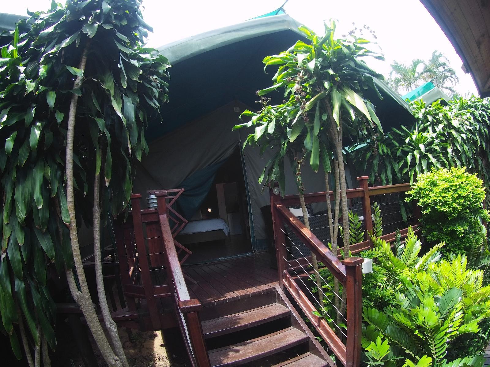View of Luxury Tents @ Urban Glamping in St Lucia - BEST Getaways - South ...