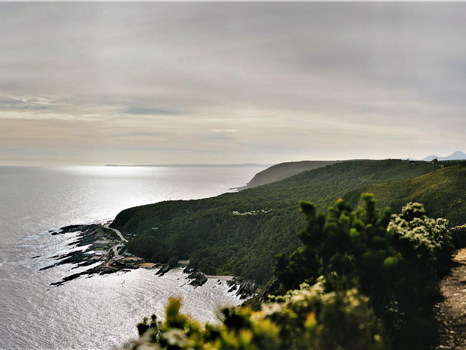 Misty Mountain - Kunghur - Nimbin