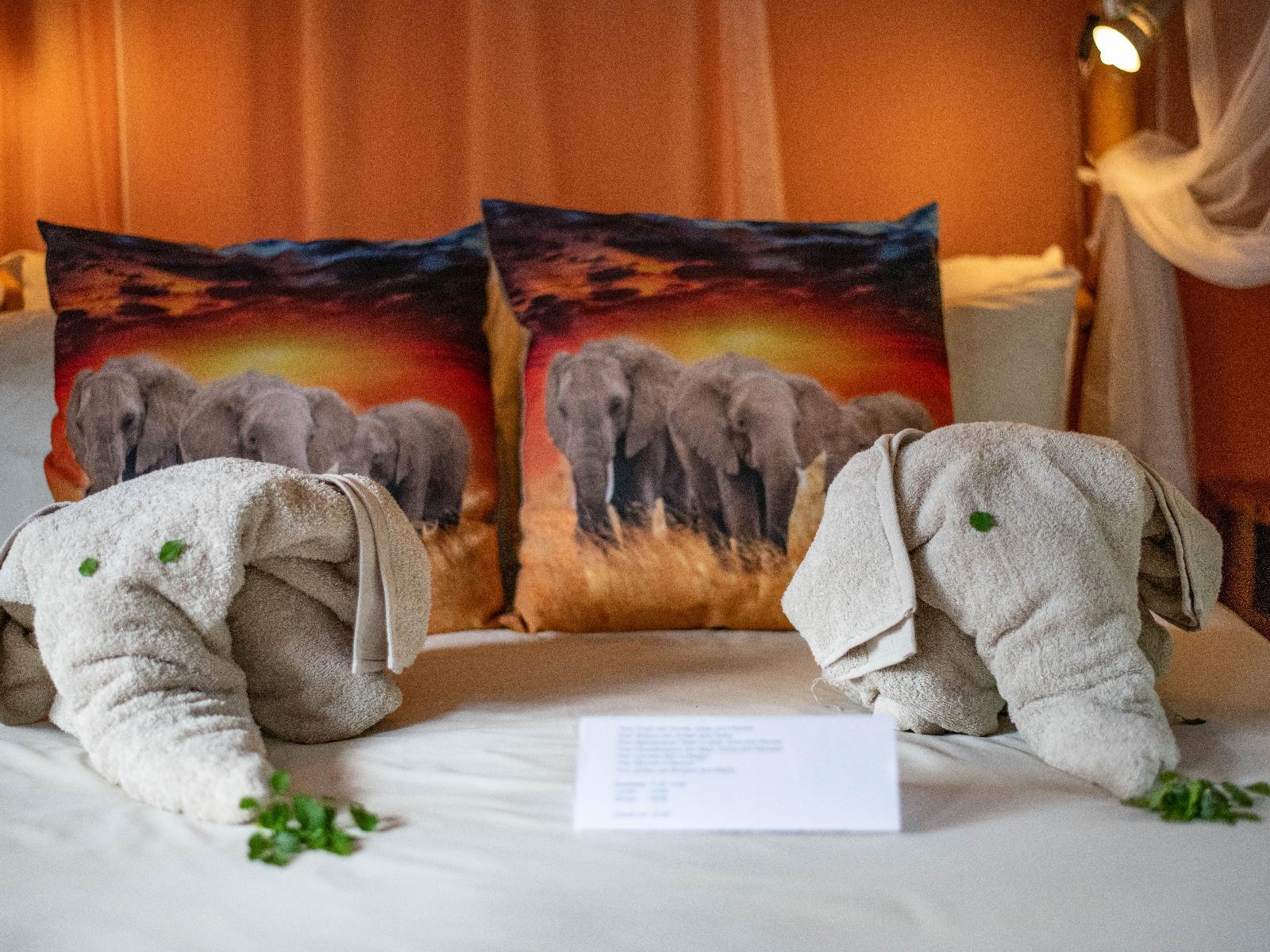 Thornhill Safari Lodge