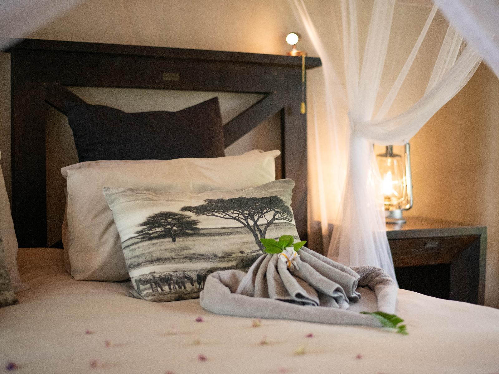 Thornhill Safari Lodge