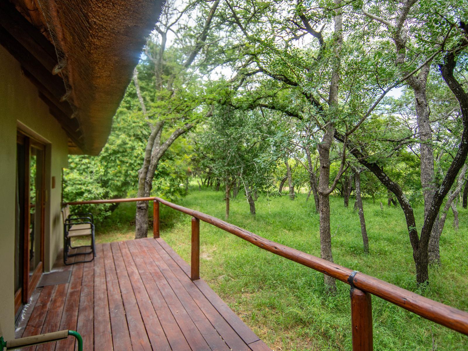 Thornhill Safari Lodge