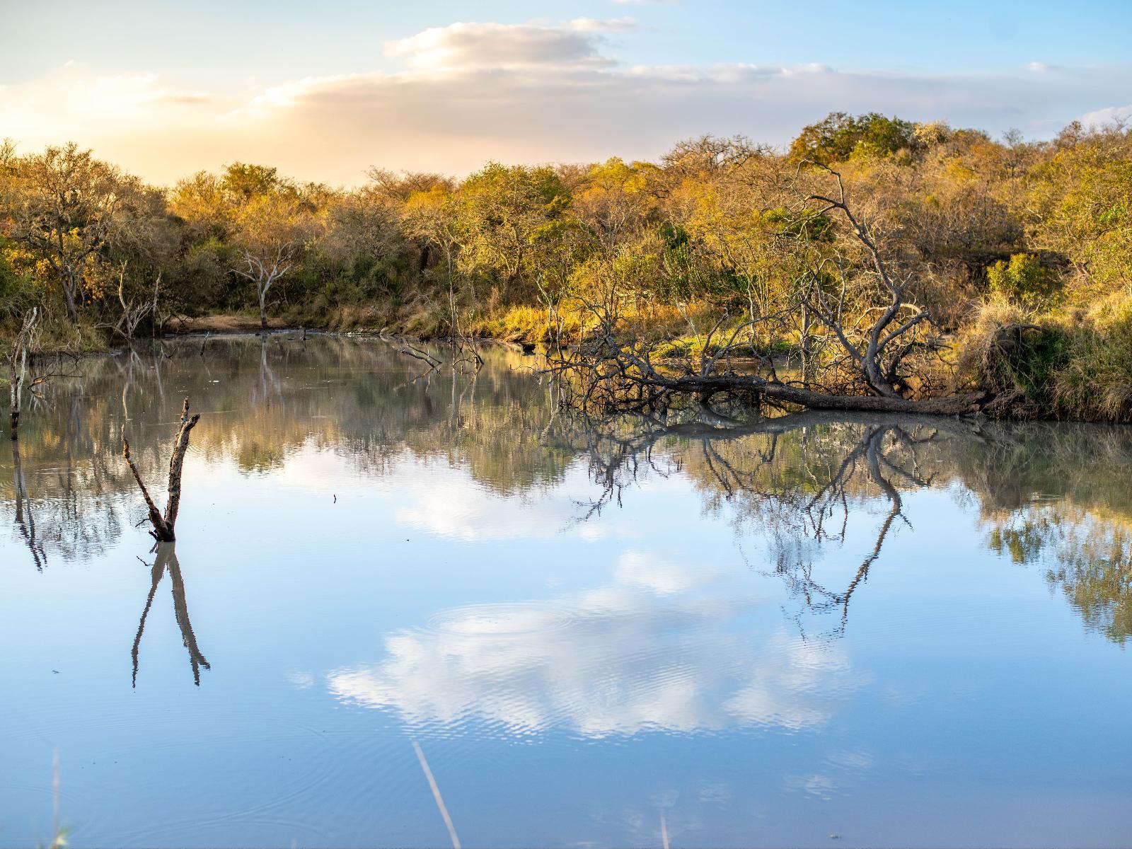 Thornhill Safari Lodge