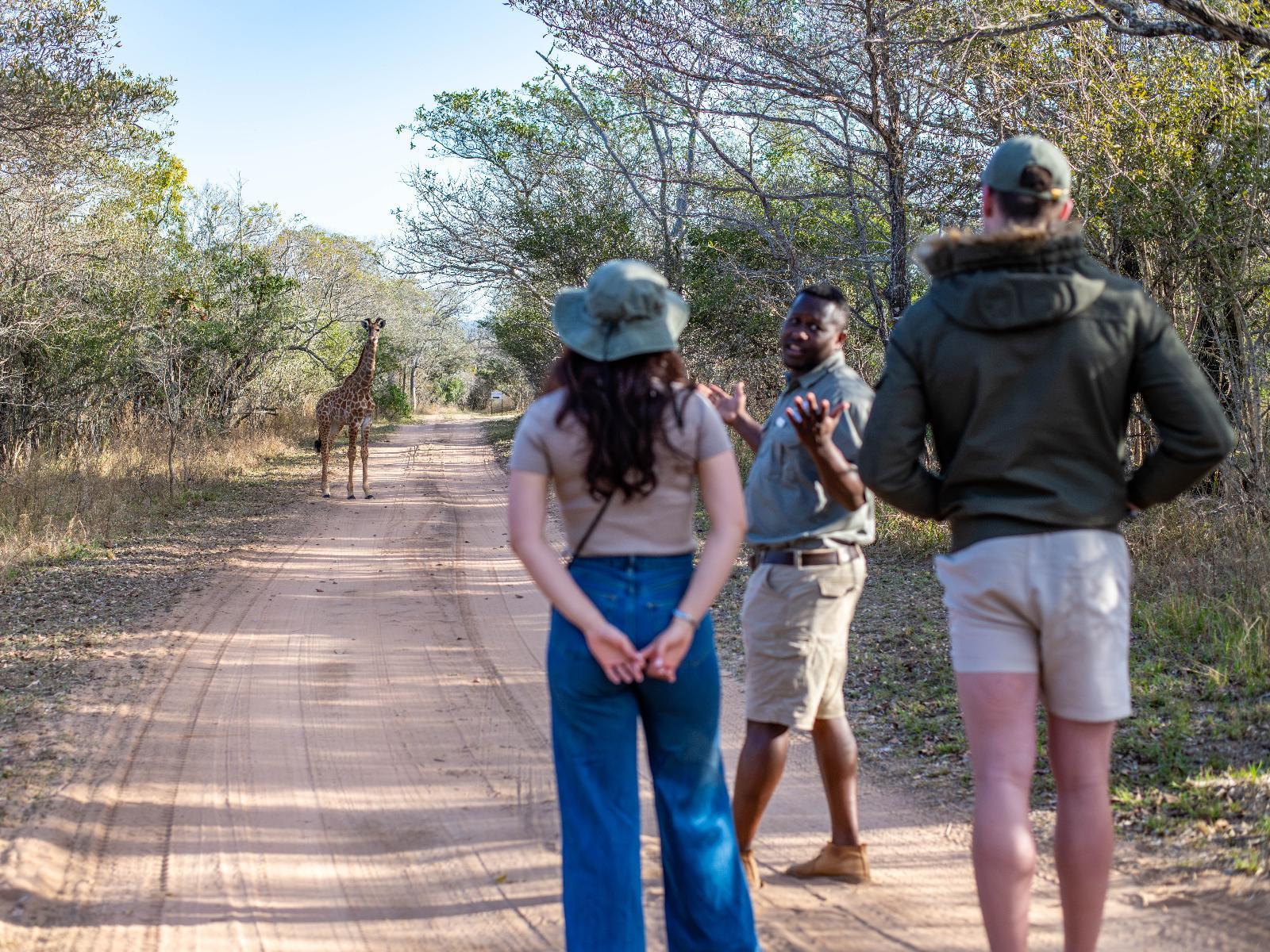 Thornhill Safari Lodge
