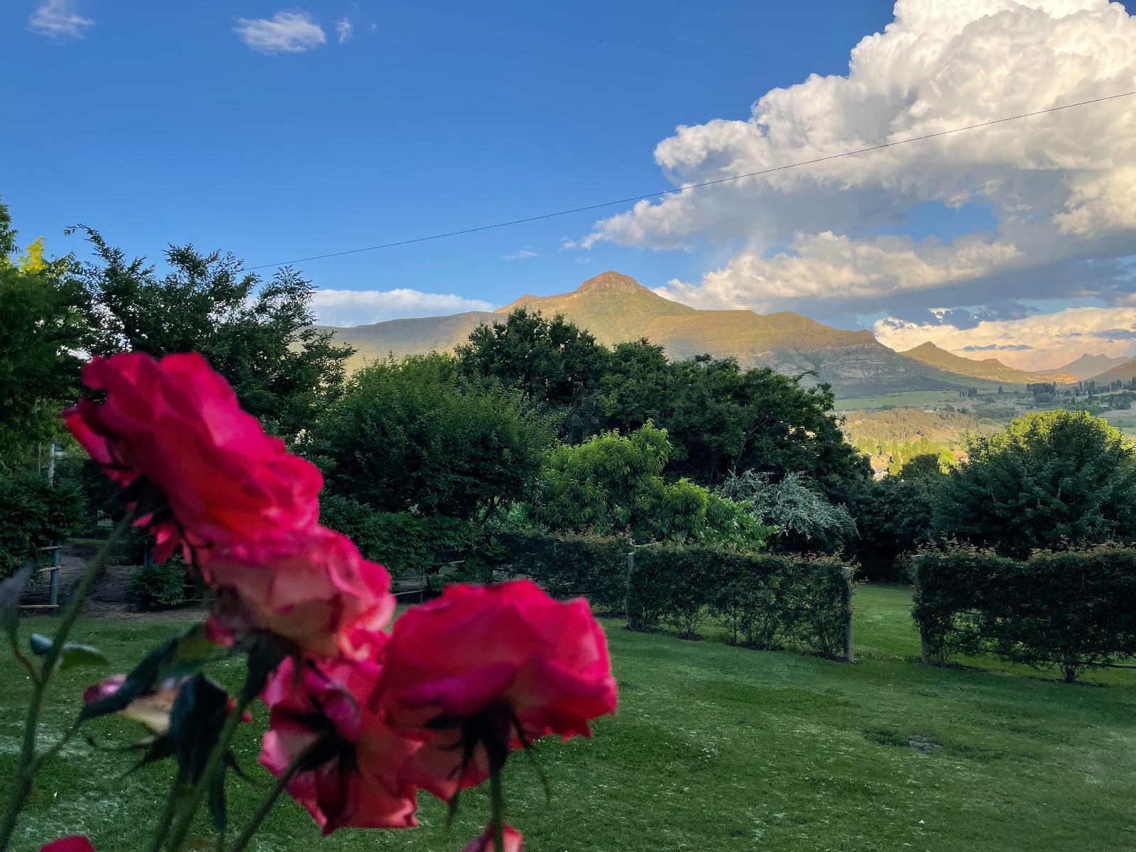Golden View Luxury Self-Catering