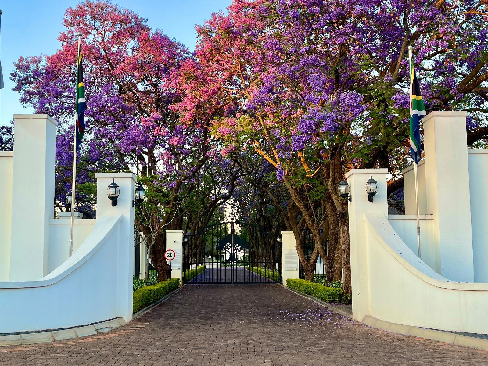 Kievits Kroon Gauteng Wine Estate