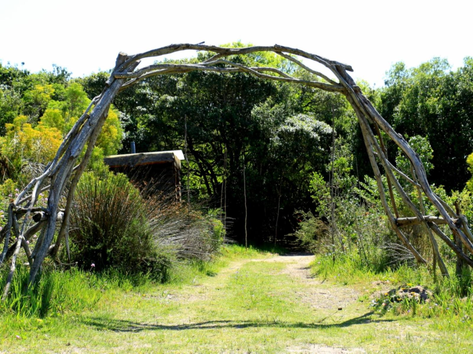 Platbos Forest Reserve